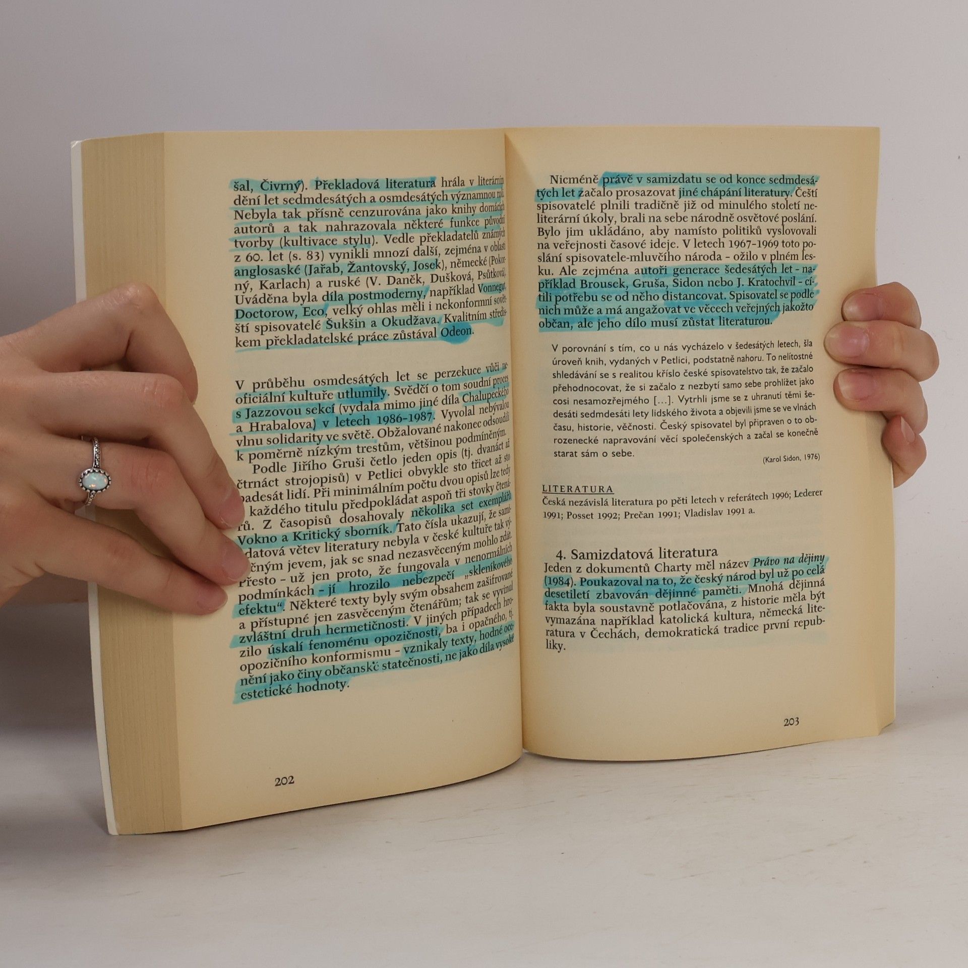 Jiří Holý Česká literatura 4. Od roku 1945 do současnosti.