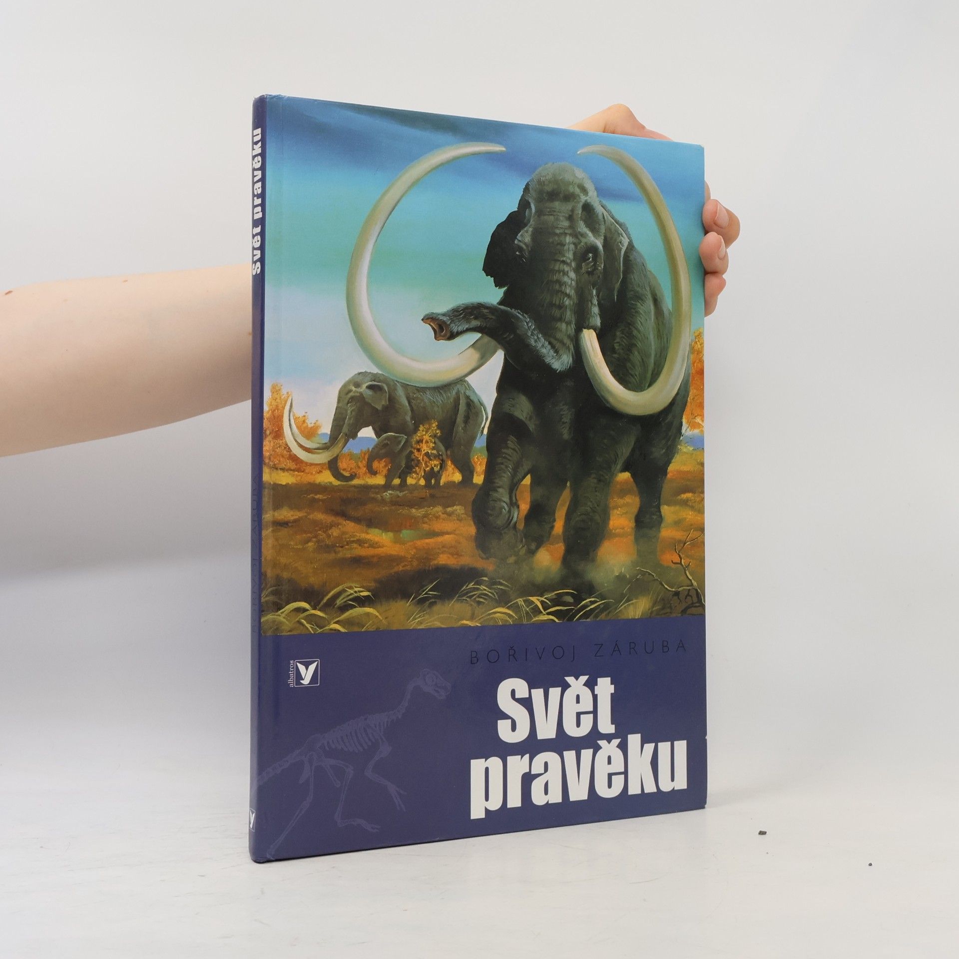 Bořivoj Záruba Svět pravěku