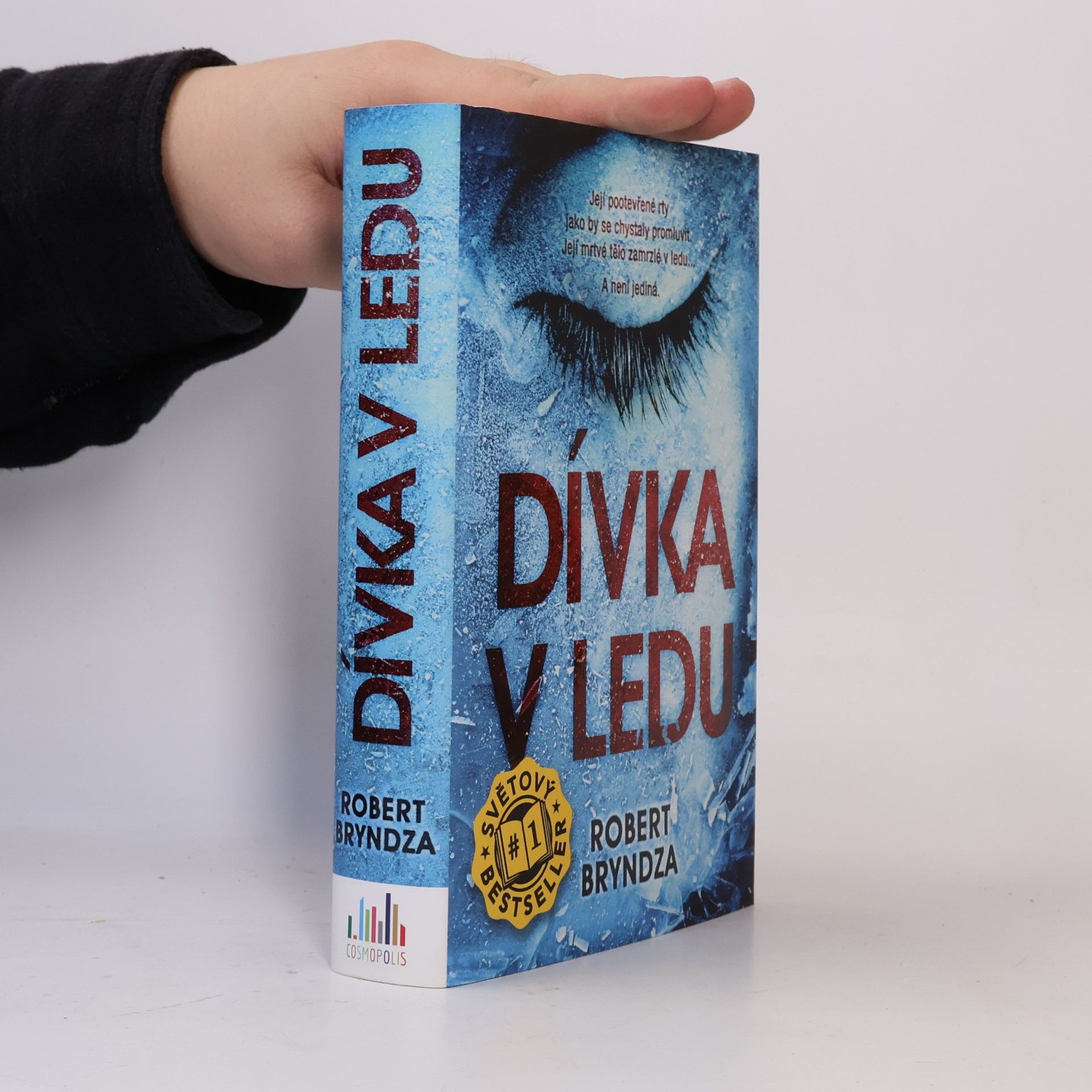 Robert Bryndza Dívka v ledu