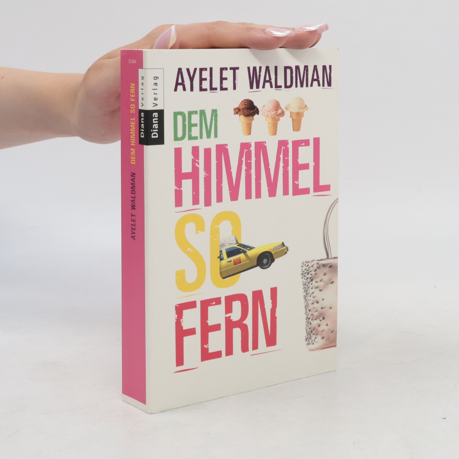 Ayelet Waldman Dem Himmel so fern