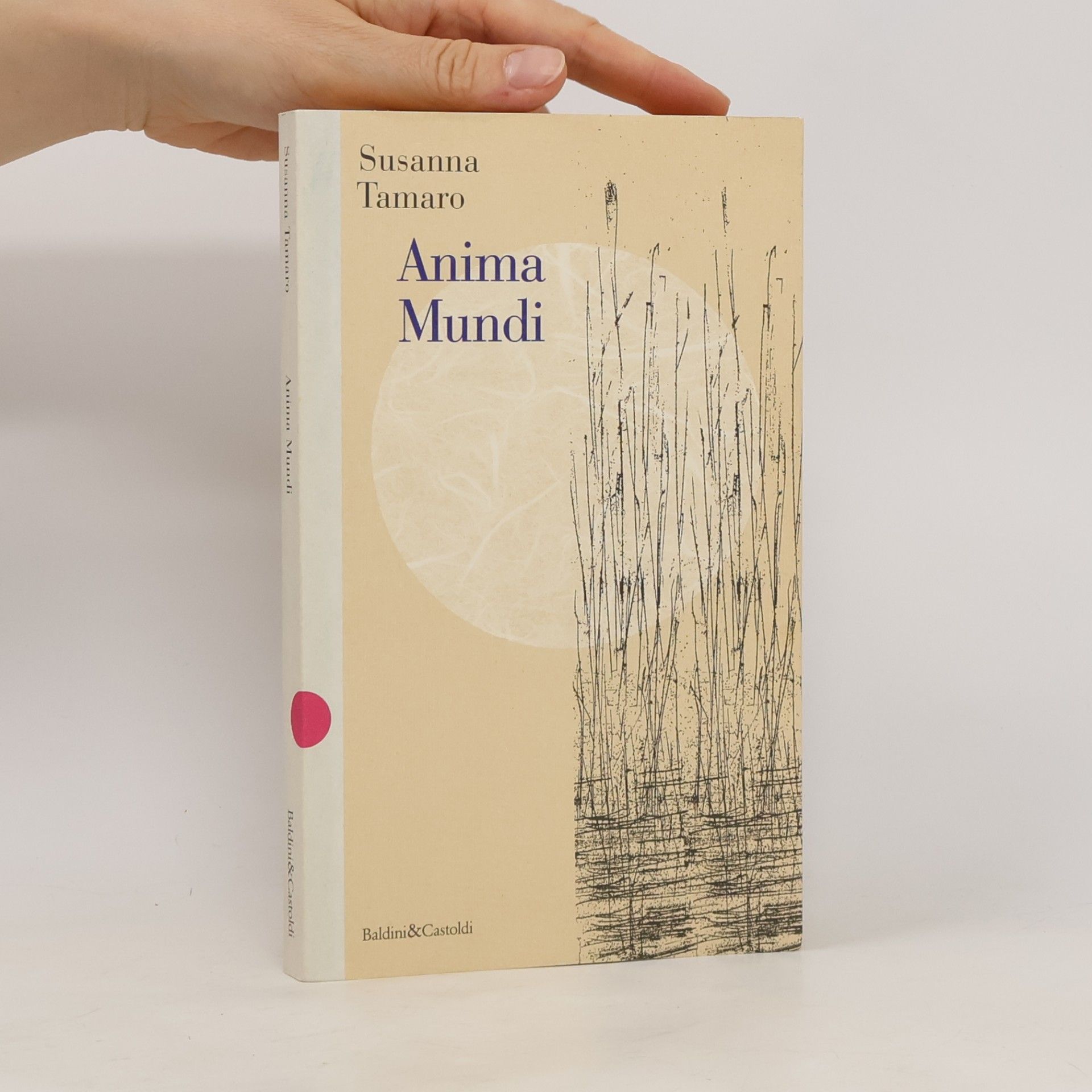 Susanna Tamaro Anima mundi
