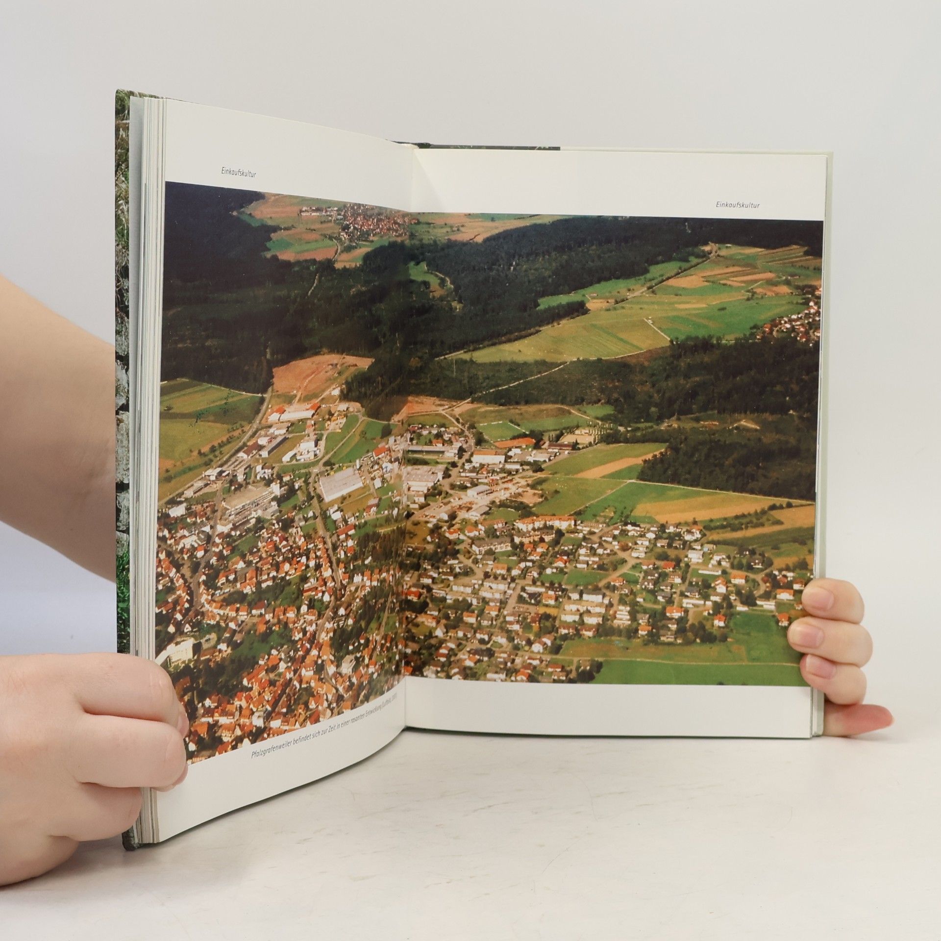 Jahrbuch Freudenstadt 2009