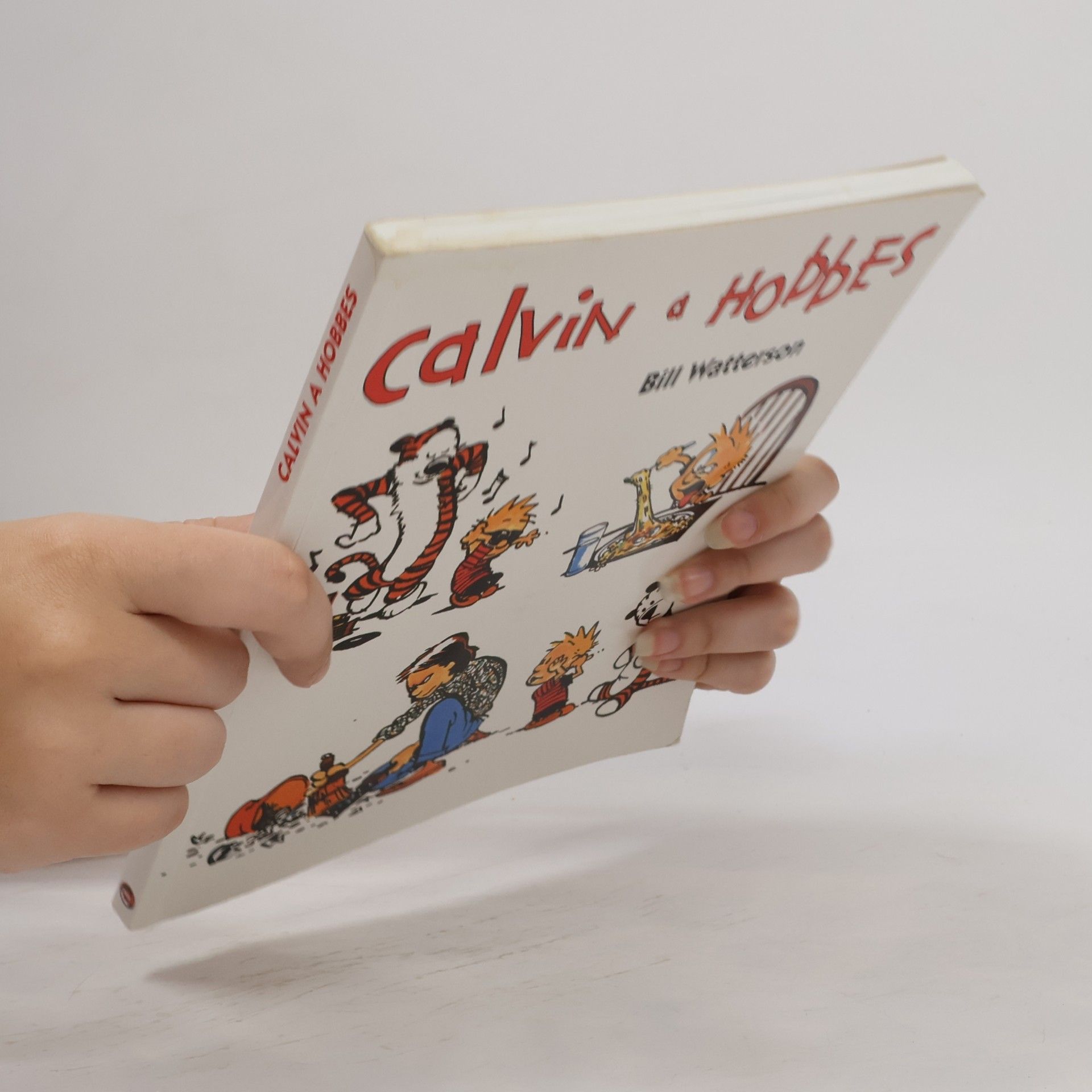 Bill Watterson Calvin a Hobbes