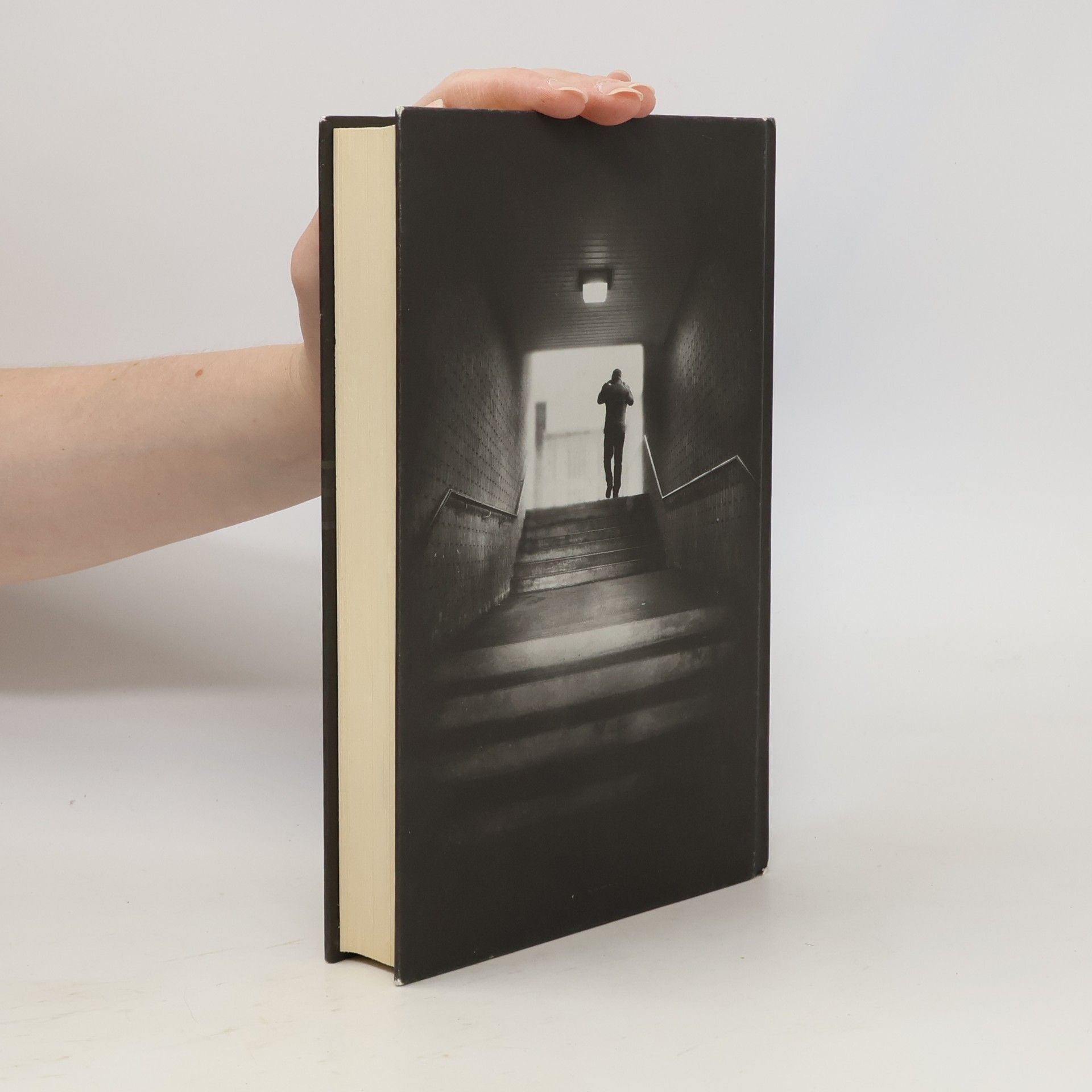 Paula Hawkins Dívka ve vlaku