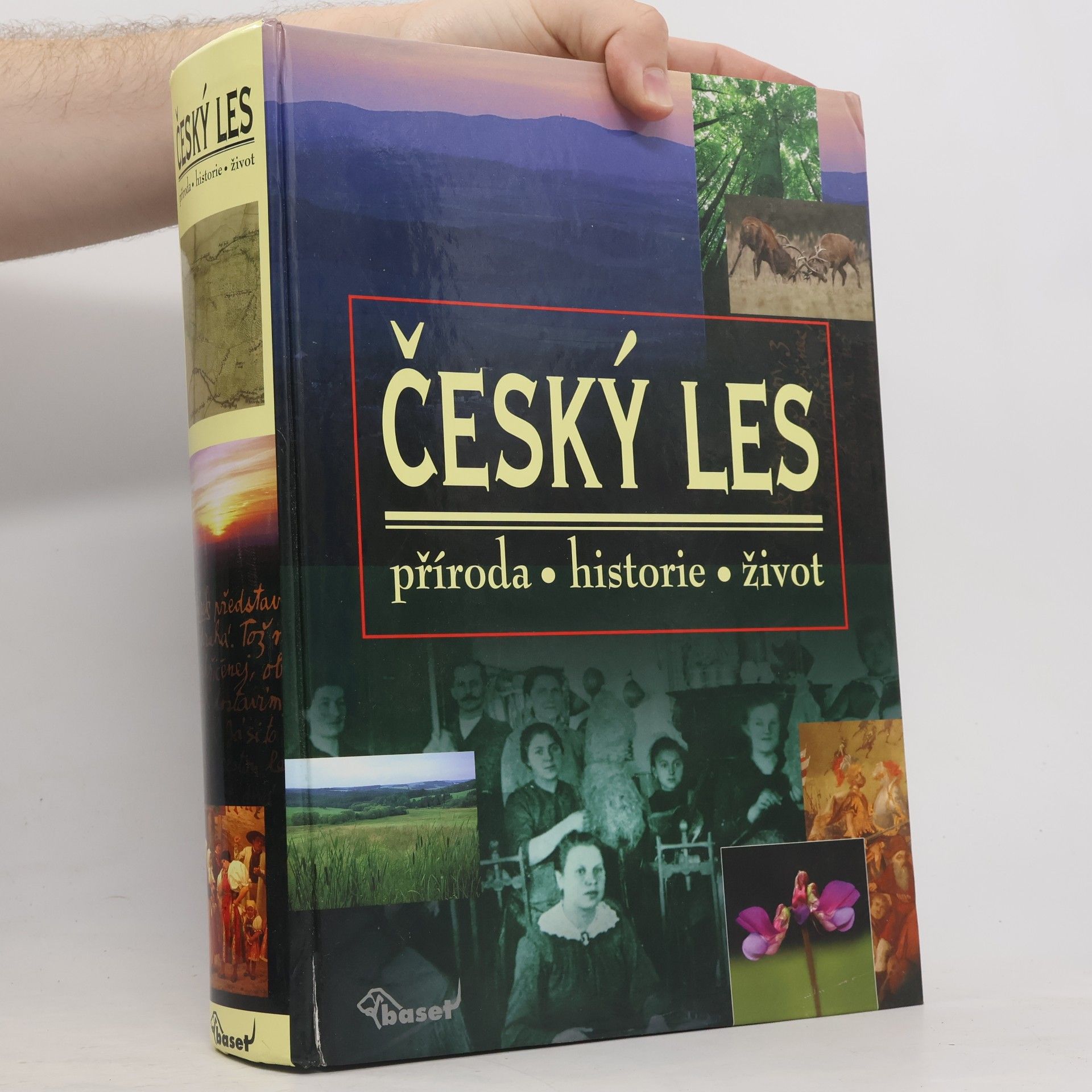 Vladislav Dudák Český les