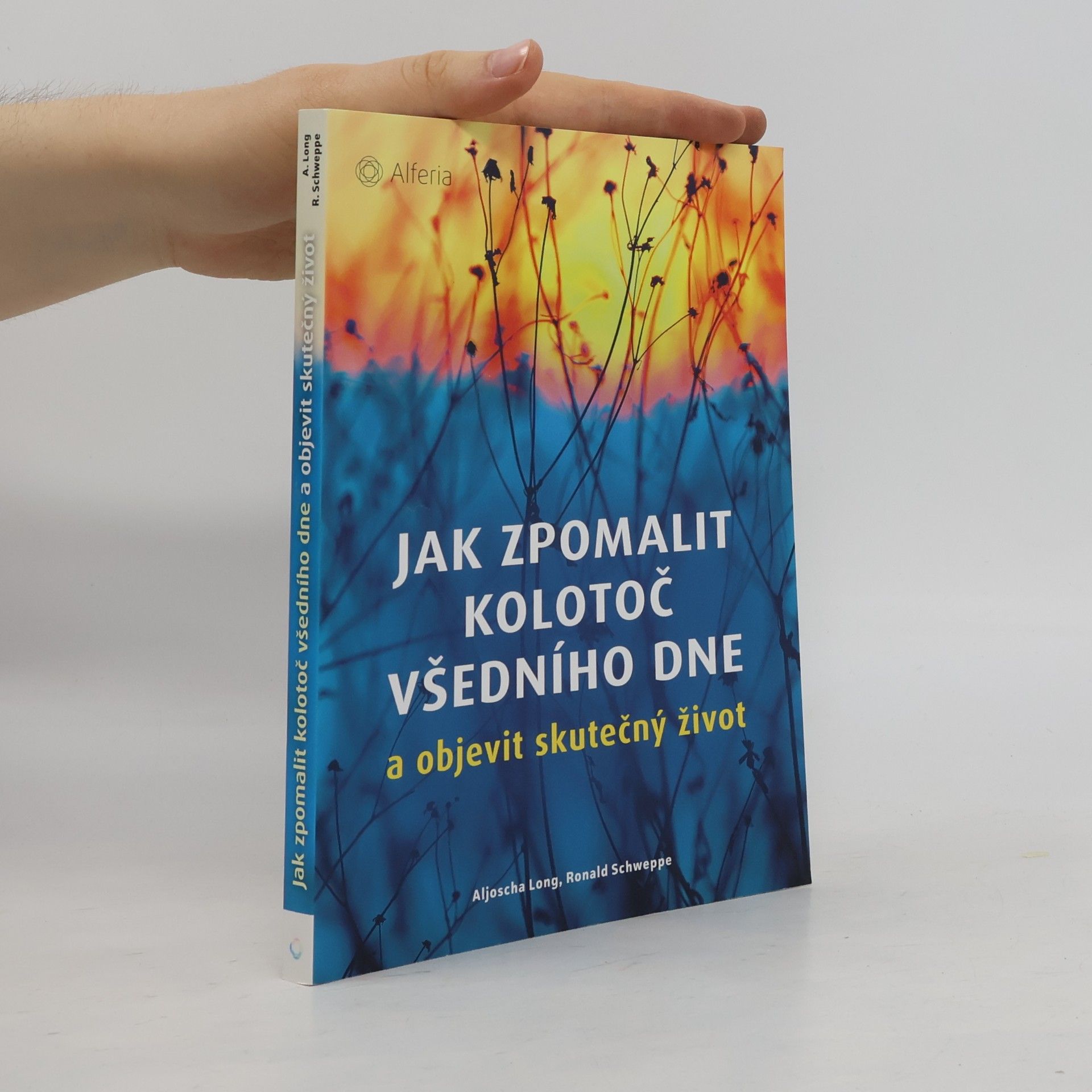 Ronald Schweppe Jak zpomalit kolotoč všedního dne a objevit skutečný život