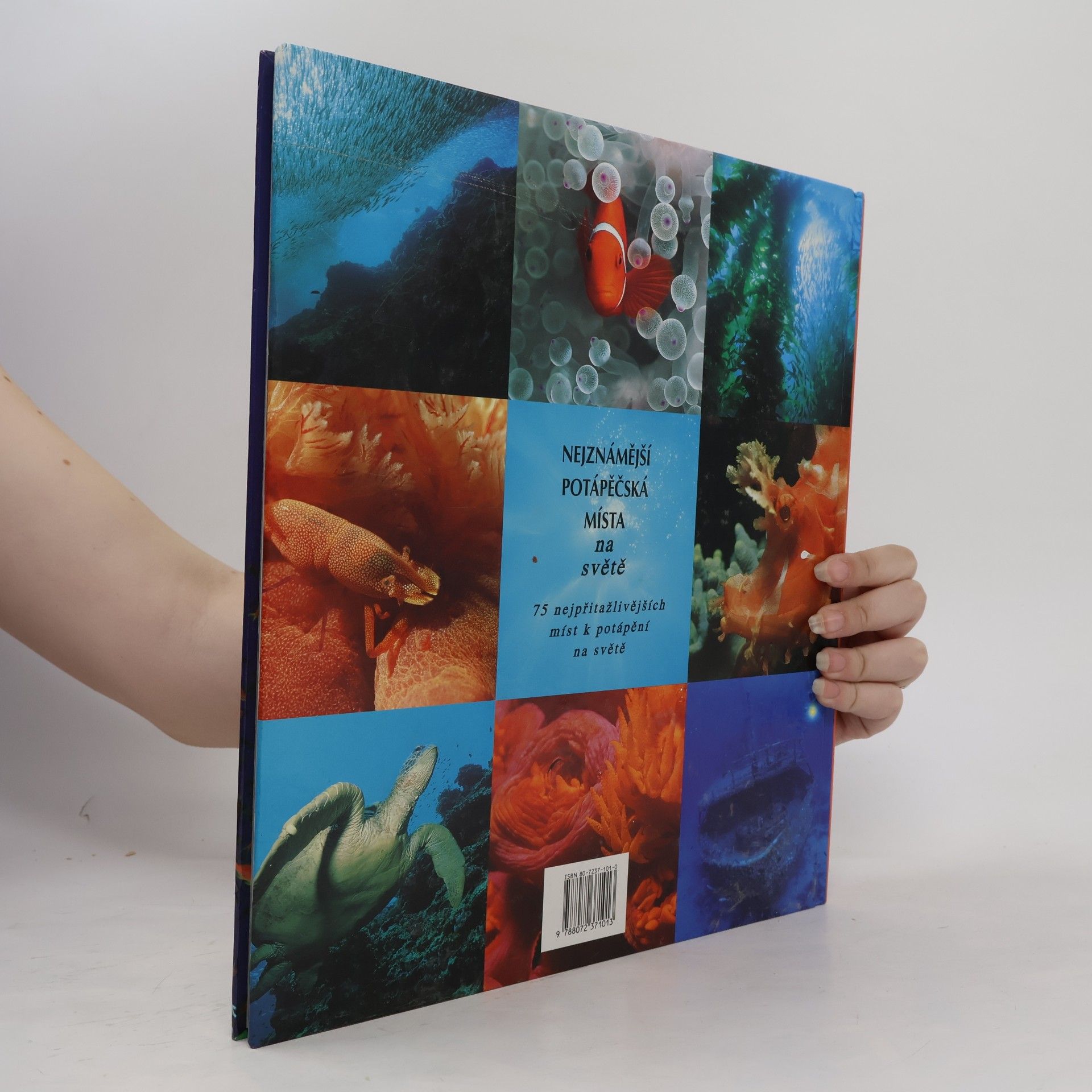 Various authors Nejznámější potápěčská místa na světě