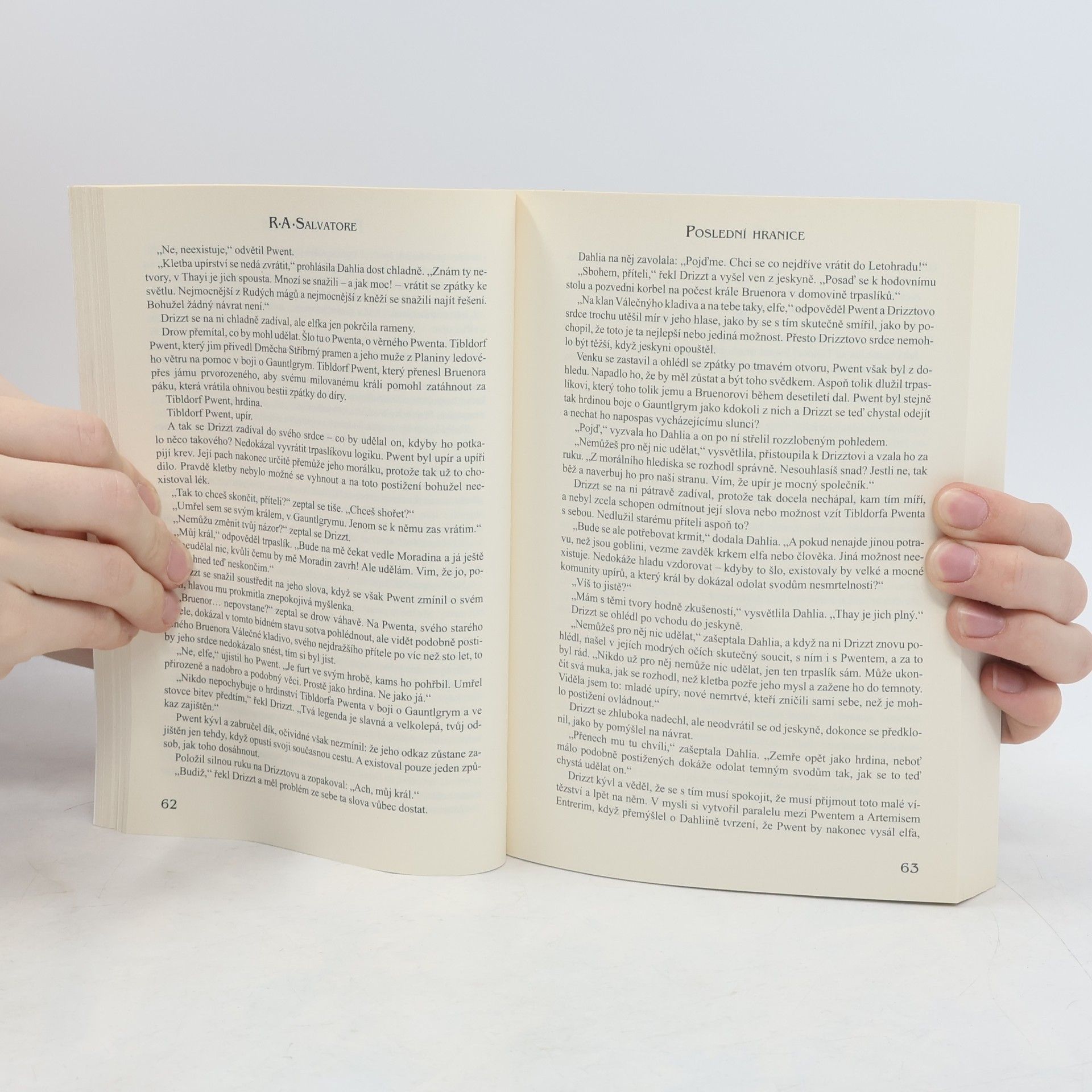 R. A. Salvatore Poslední hranice