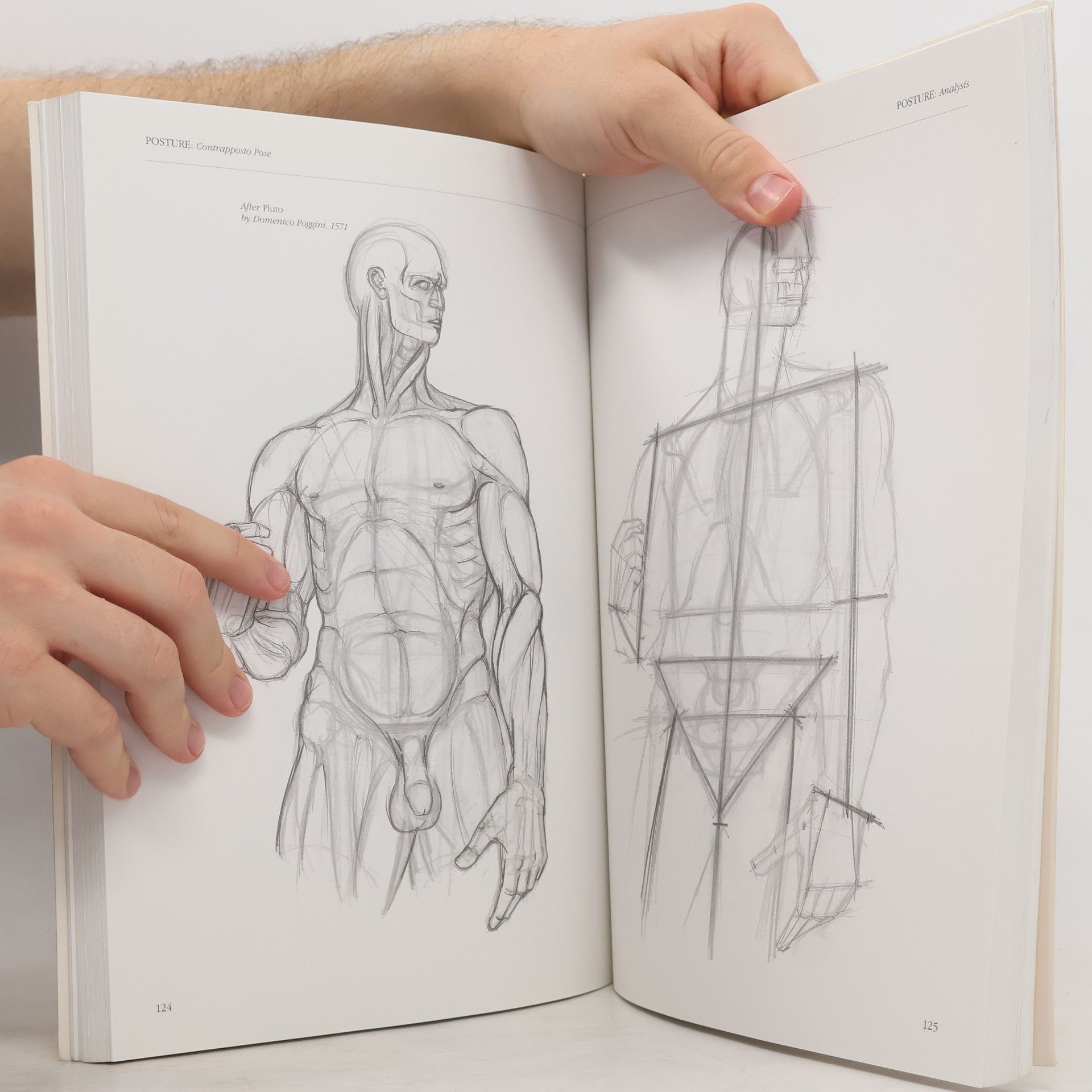 Tom Flint Anatomy for the Artist