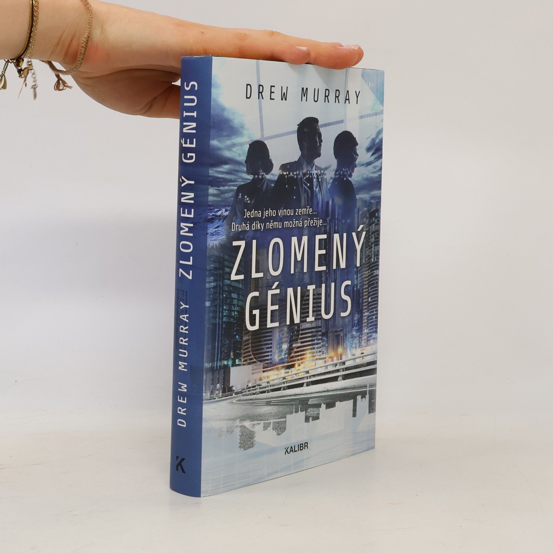 Drew Murray Zlomený génius