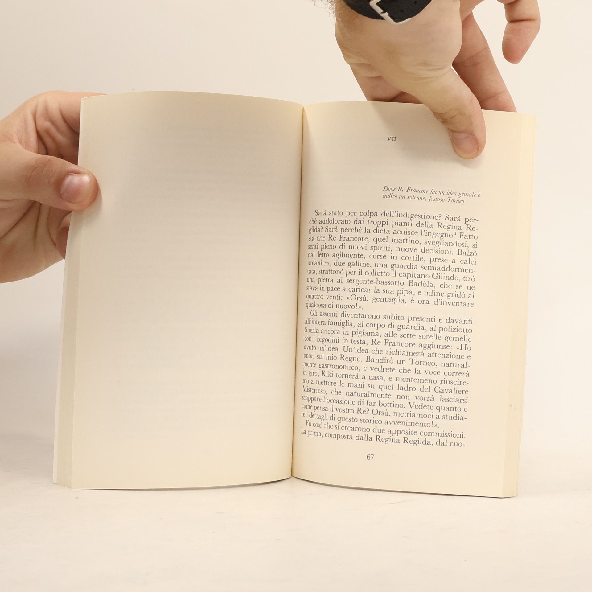 Giovanni Arpino Narrativa e letture: Avventure di corte e di cortile