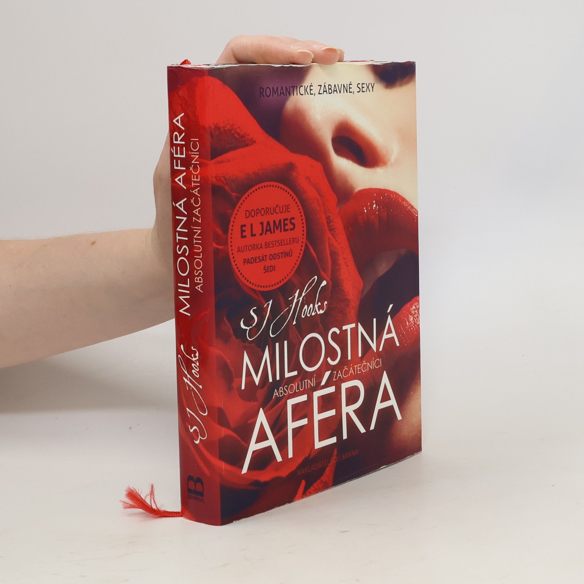 SJ Hooks Milostná aféra