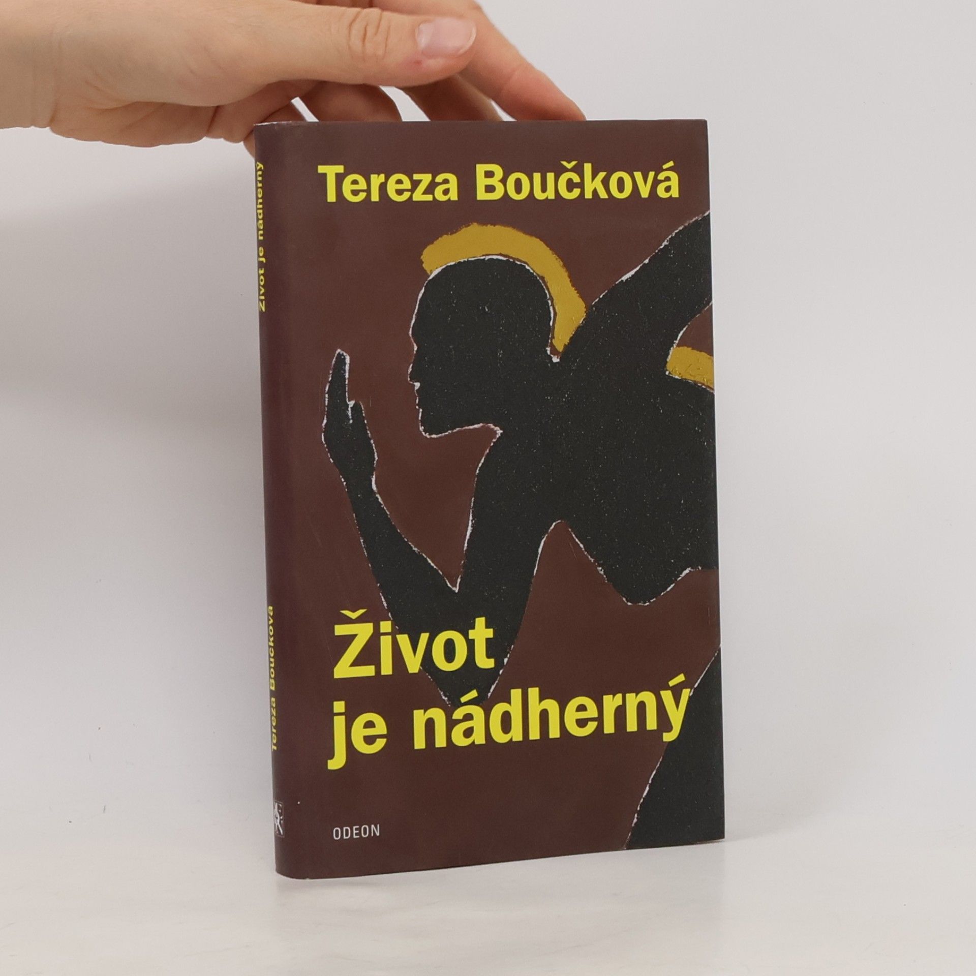 Tereza Boučková Život je nádherný