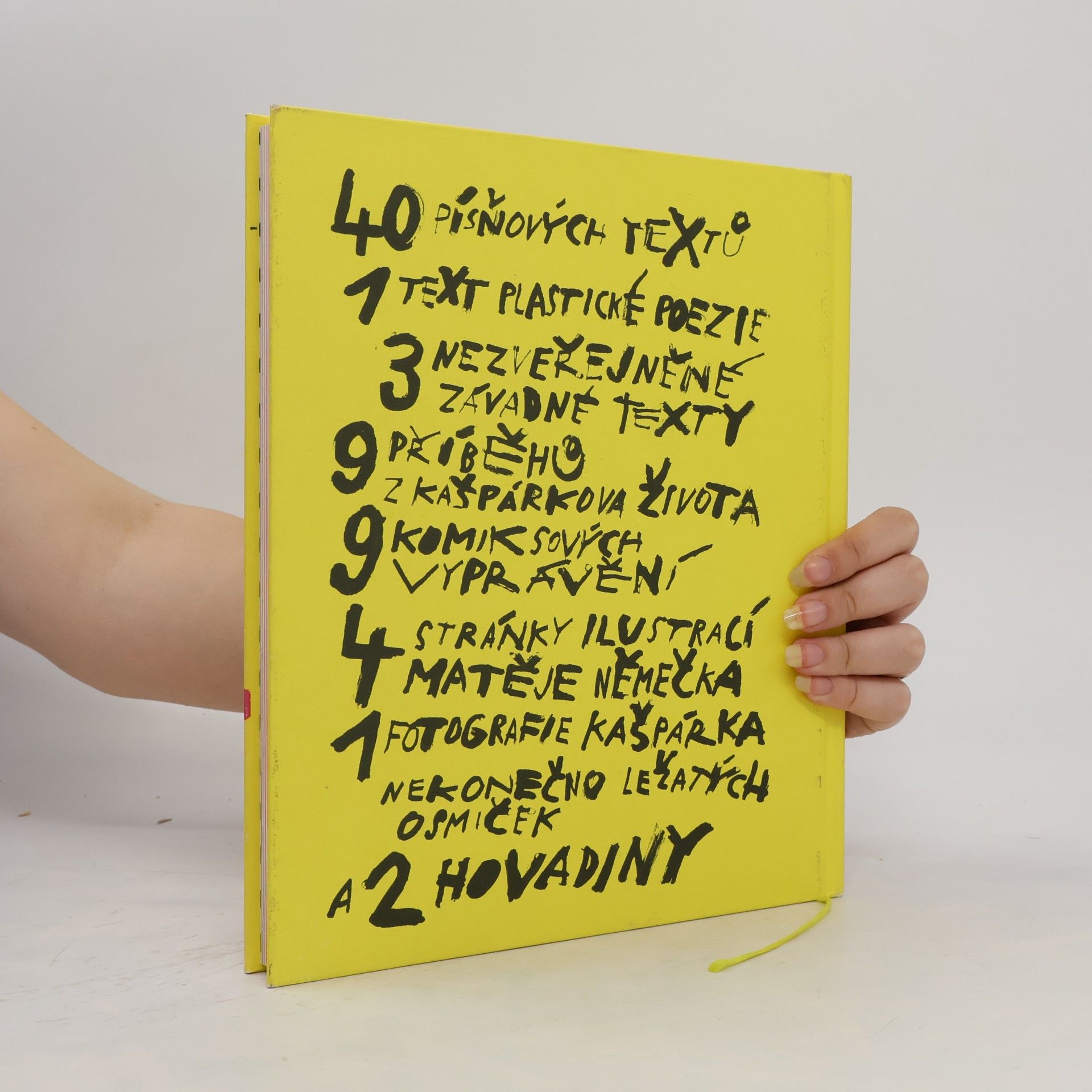 Autorenkollektiv Kašpárek v rohlíku. Postřelená kniha