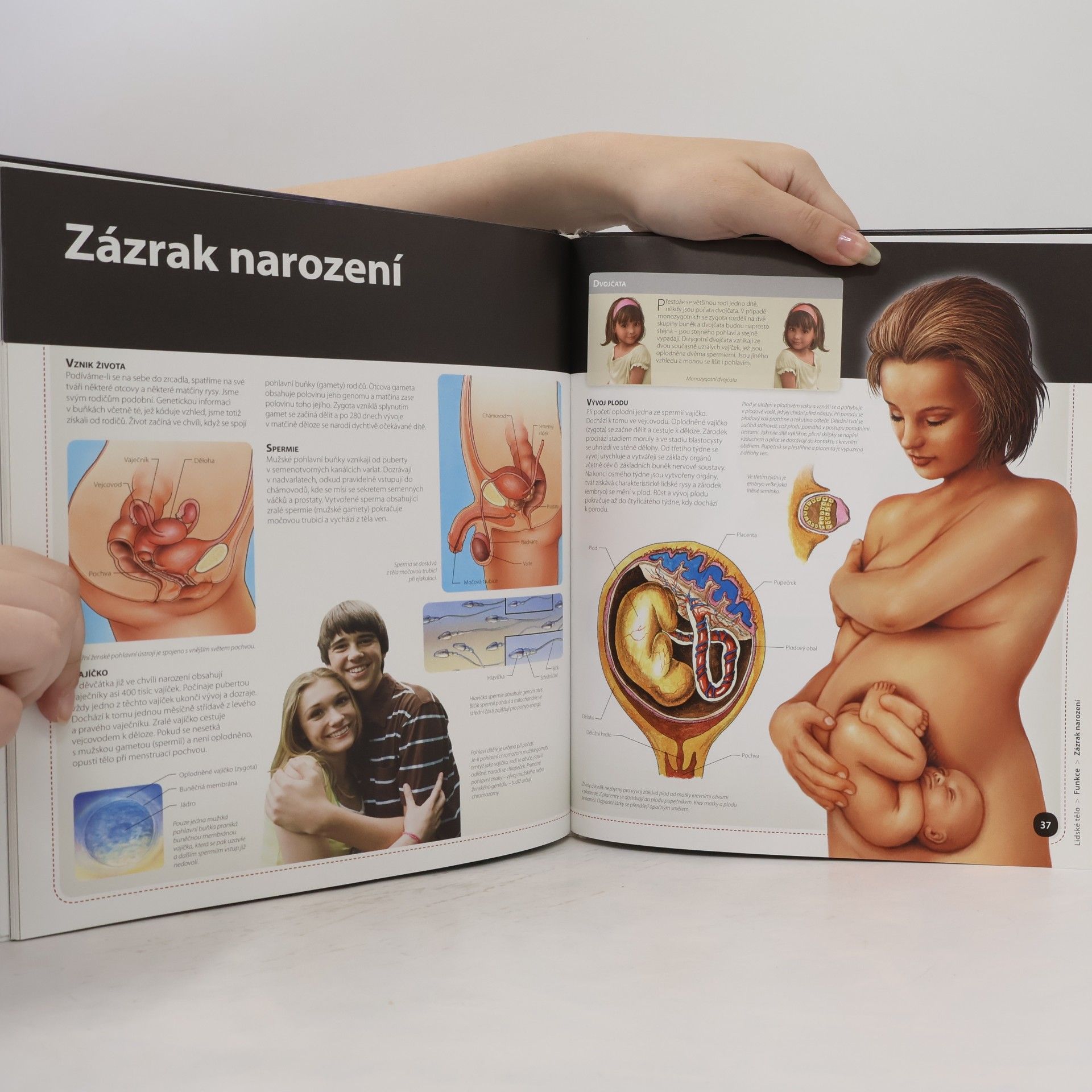 Kateřina Orlová Lidské tělo