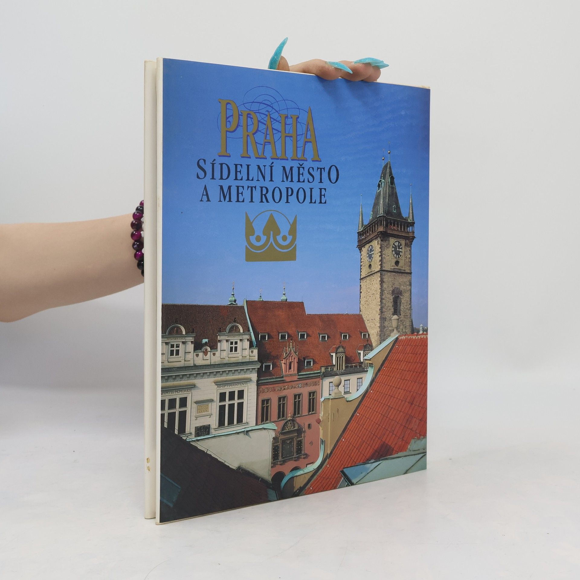 Petr Čornej Praha sídelní město a metropole