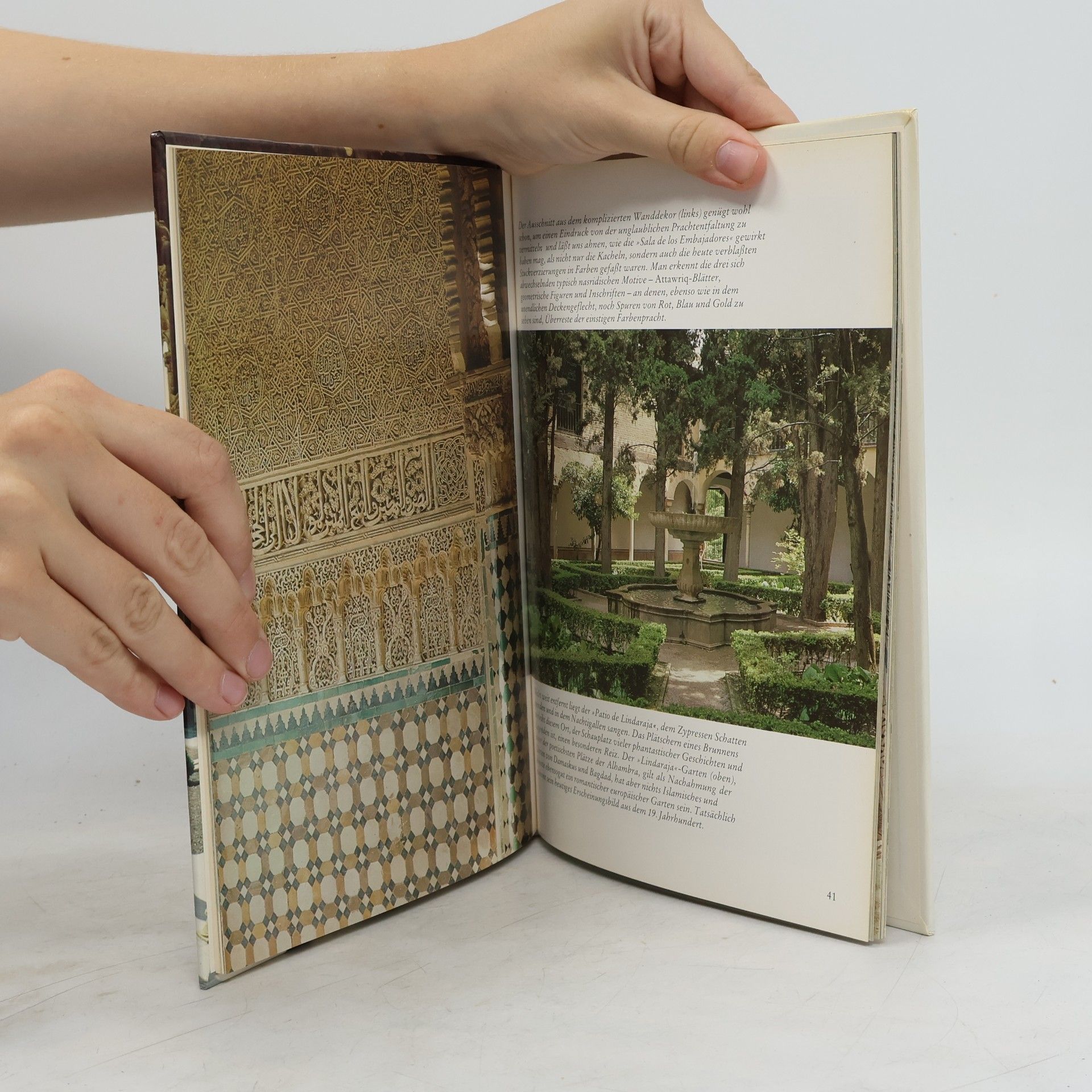 Cesco Vian Die Alhambra von Granada