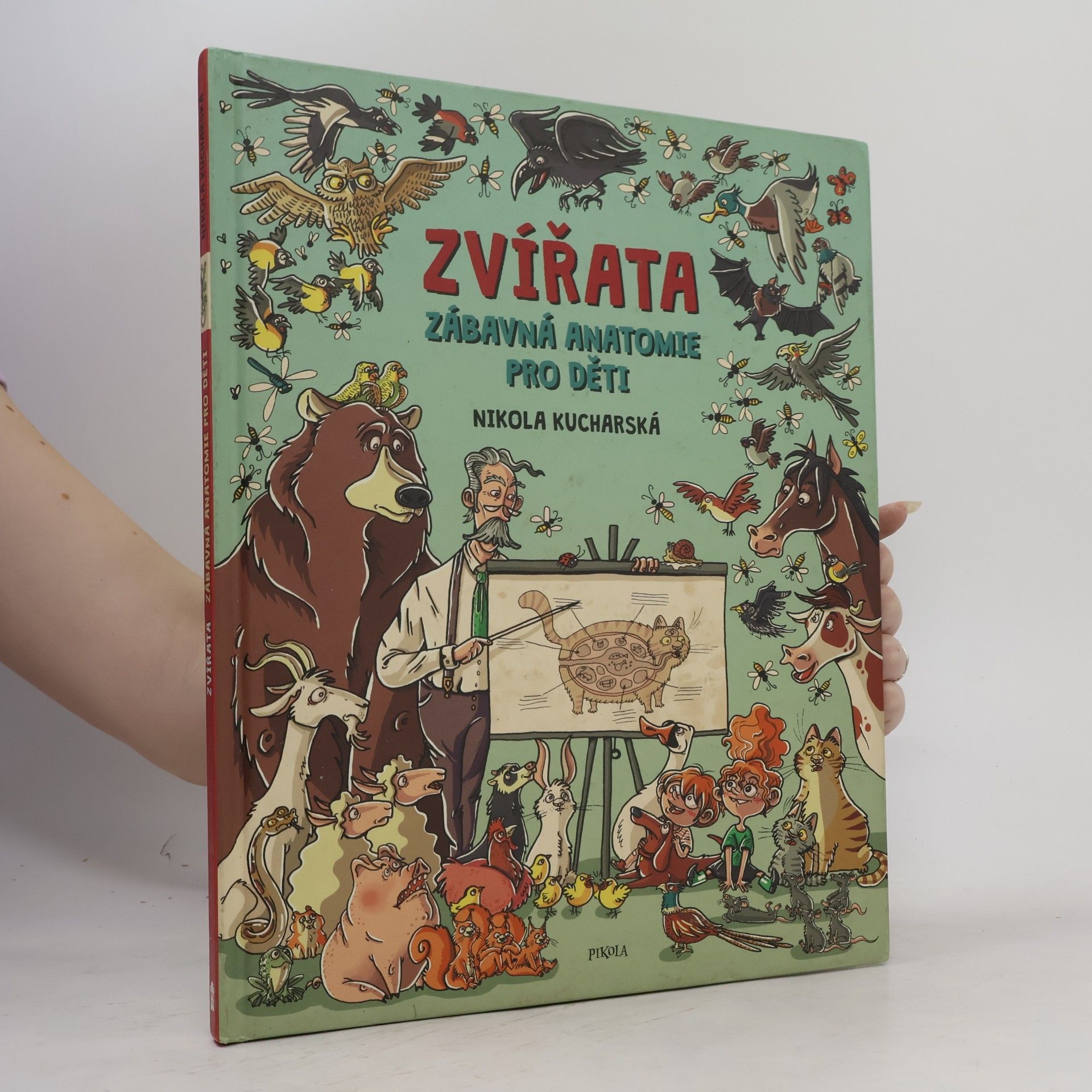 Nikola Kucharska Zvířata: Zábavná anatomie pro děti