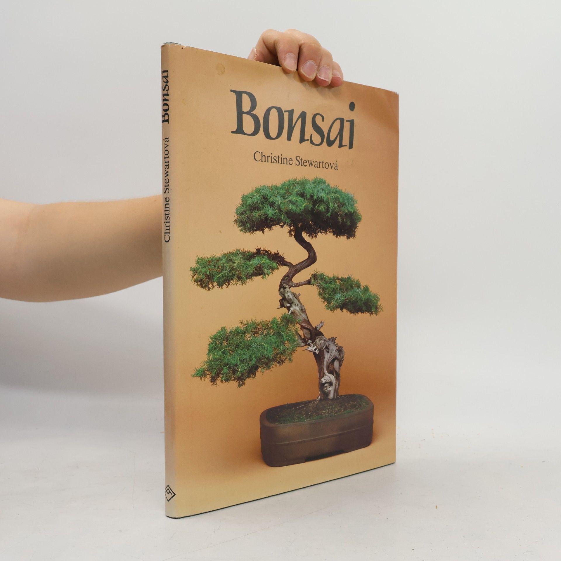 Christine Stewart Bonsai