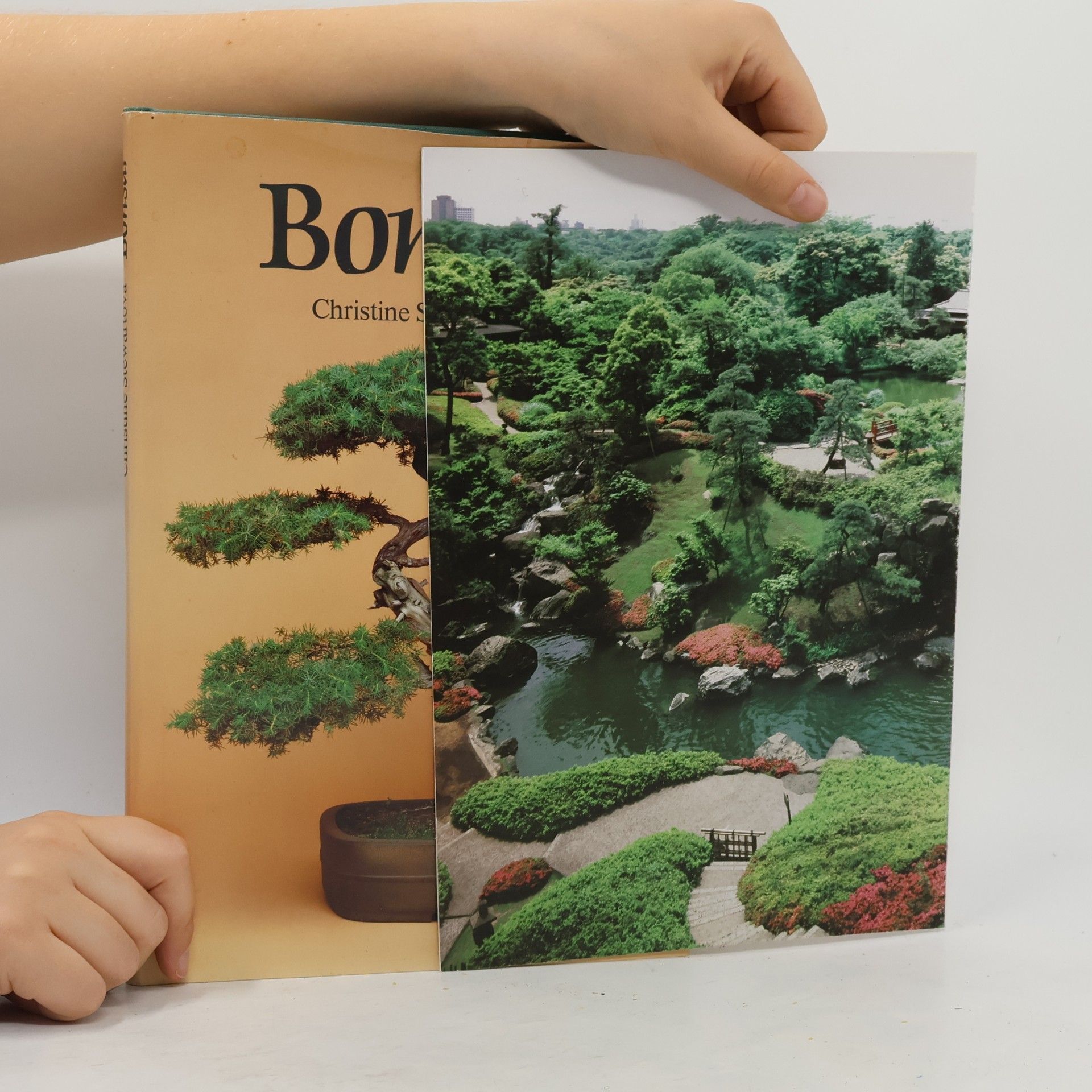 Jan Tykač Bonsai