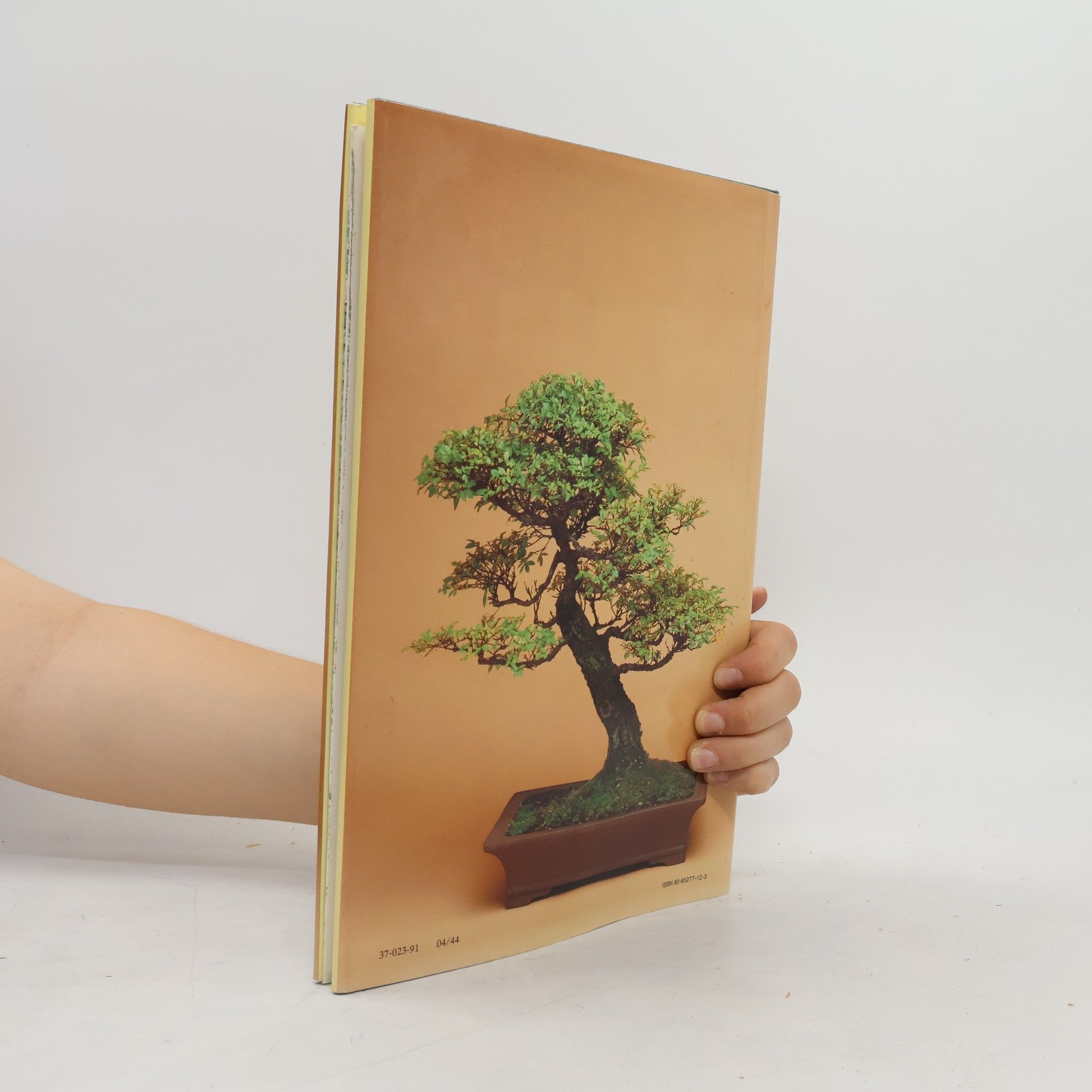 Jan Tykač Bonsai