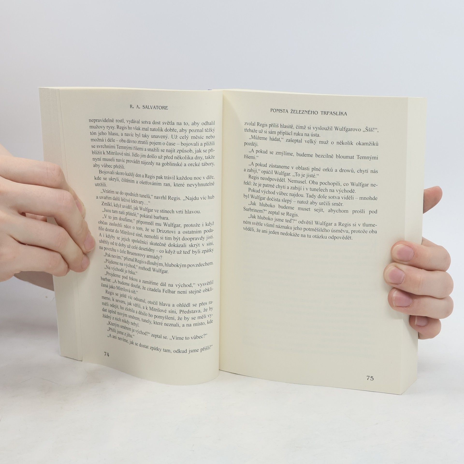 R. A. Salvatore Kodex společníků. III., Pomsta železného trpaslíka