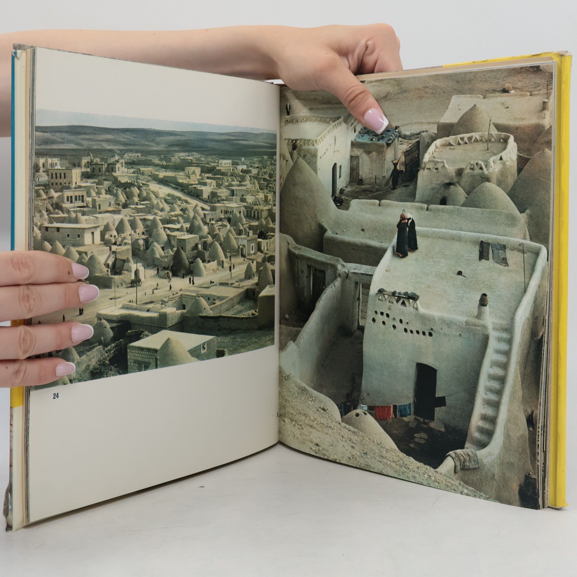 Miroslav Zikmund Syria