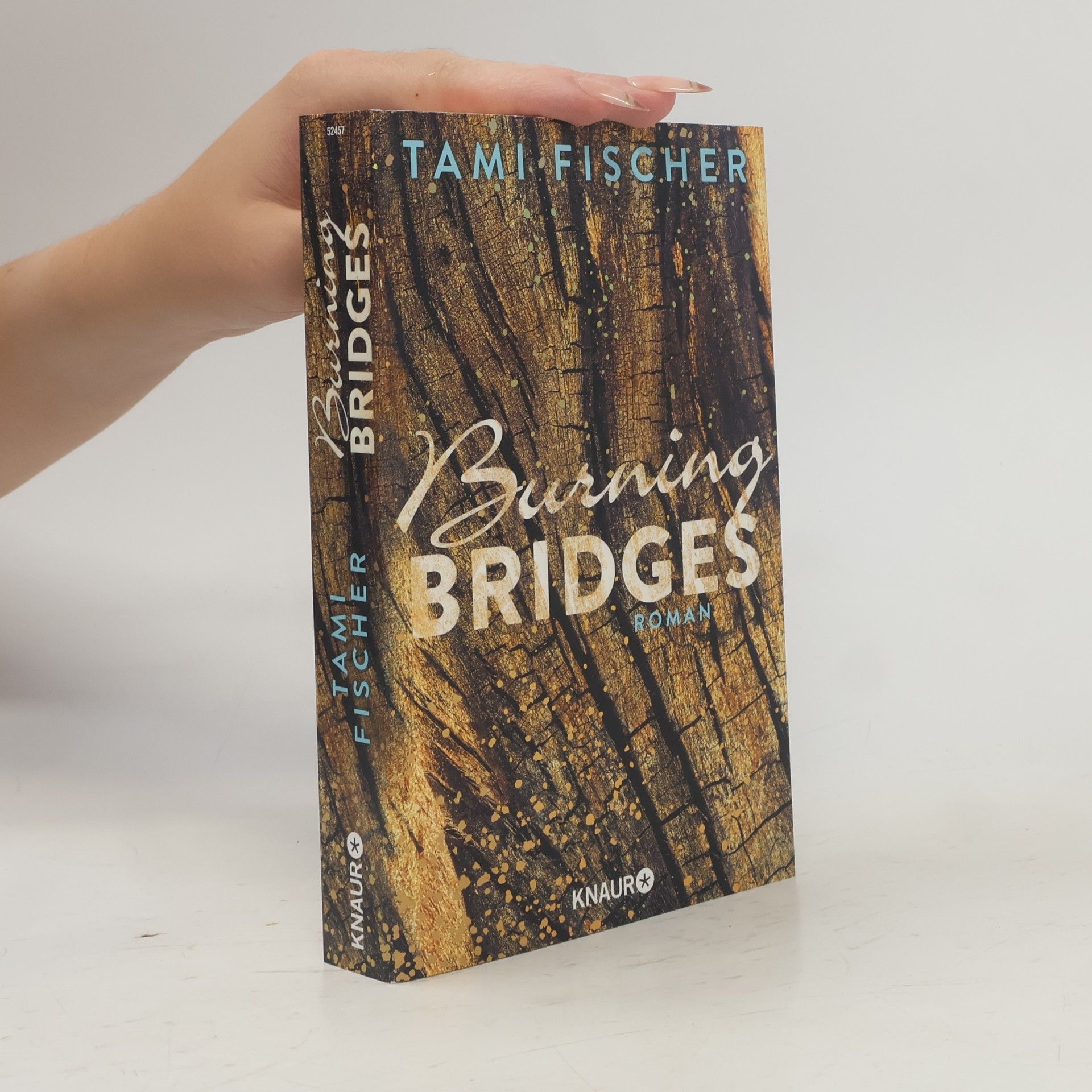 Tami Fischer Burning bridges