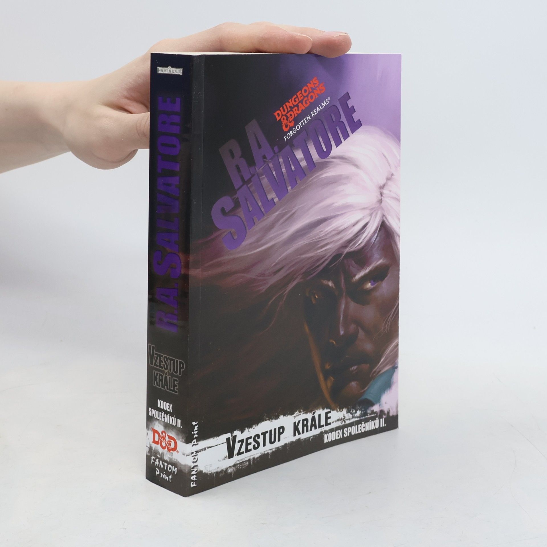 Kateřina Niklová Kodex společníků. II., Vzestup krále