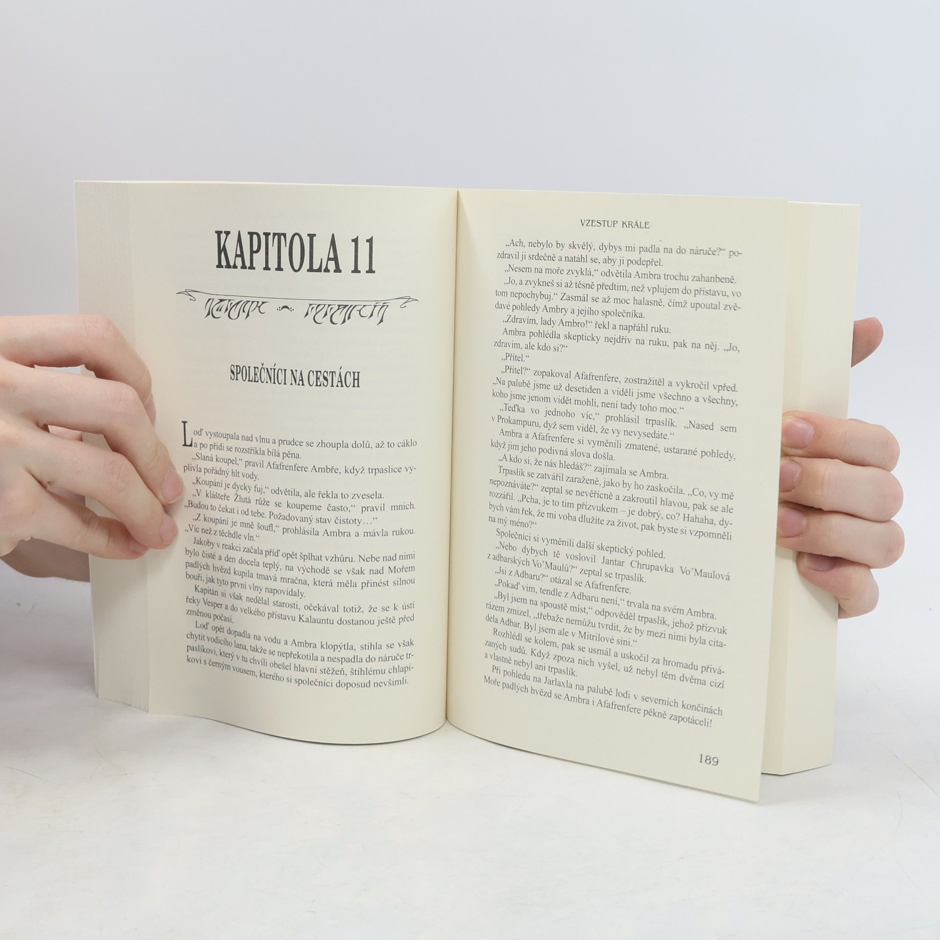 R. A. Salvatore Kodex společníků. II., Vzestup krále