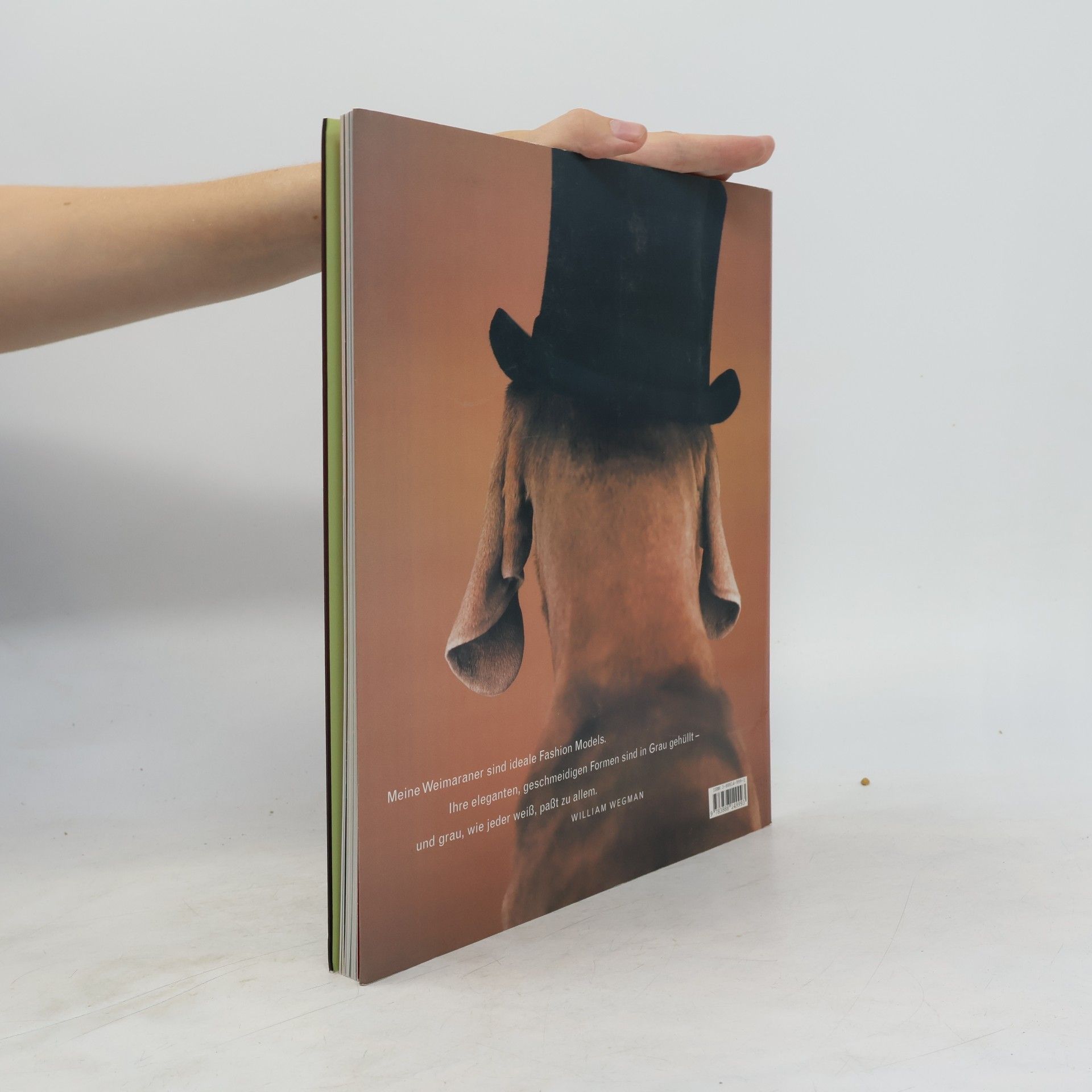 William Wegman Modephotographien