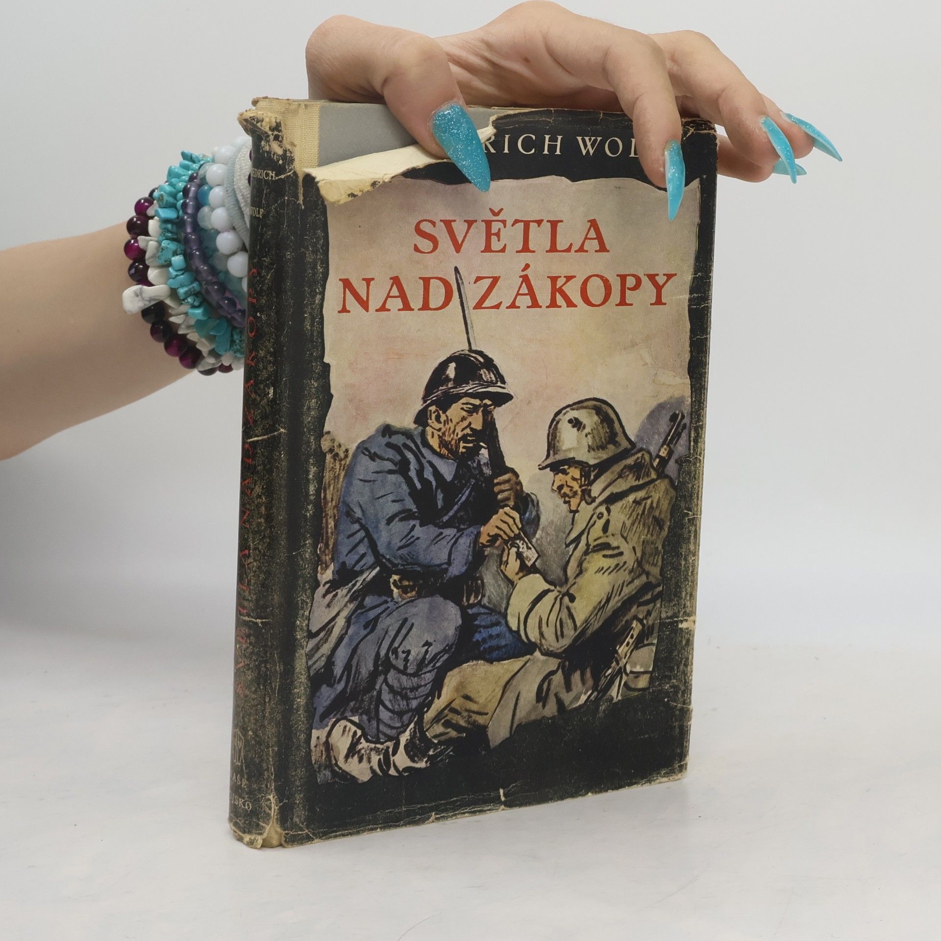 Friederich Wolf Světla nad zákopy