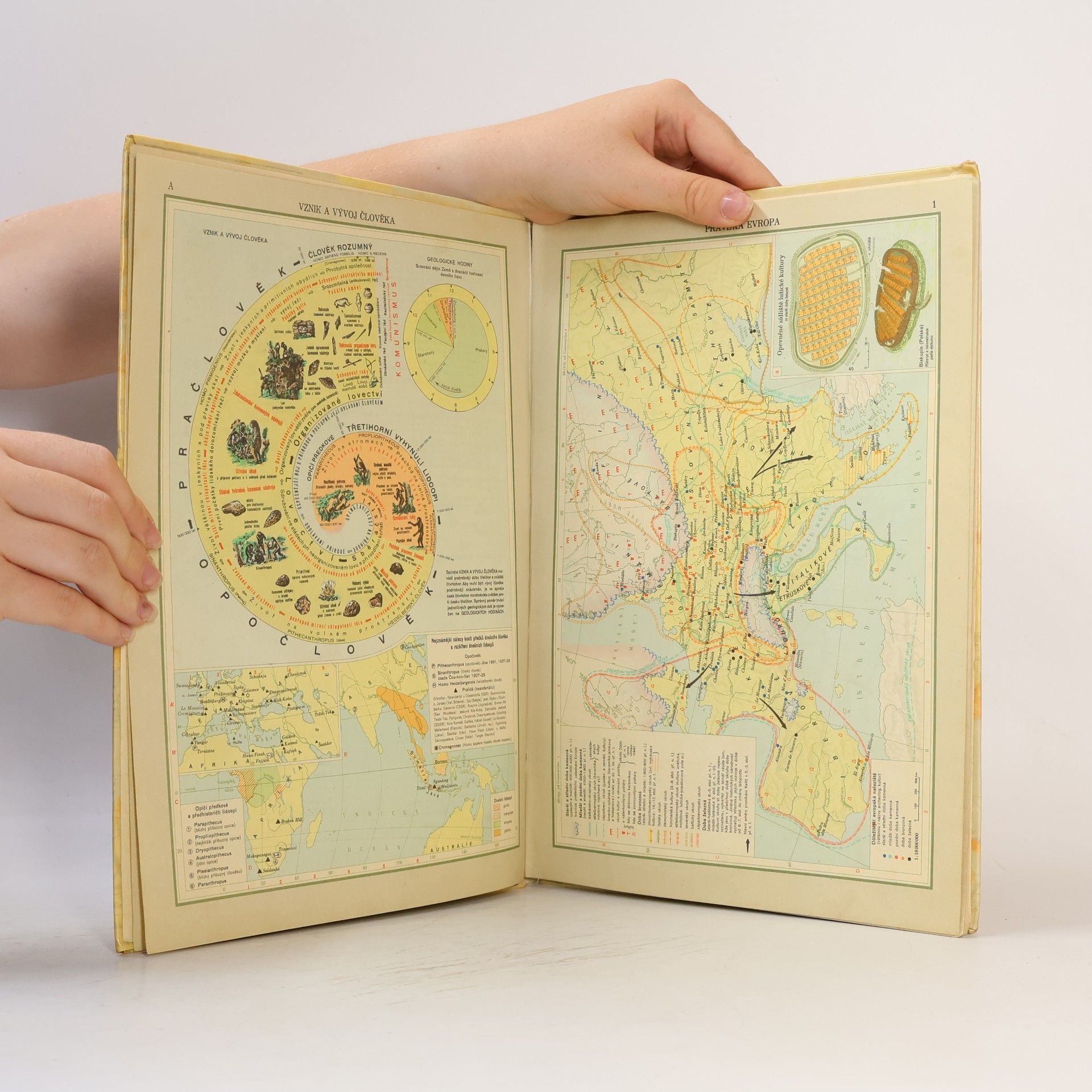 Autorenkollektiv Školni atlas světových dějin