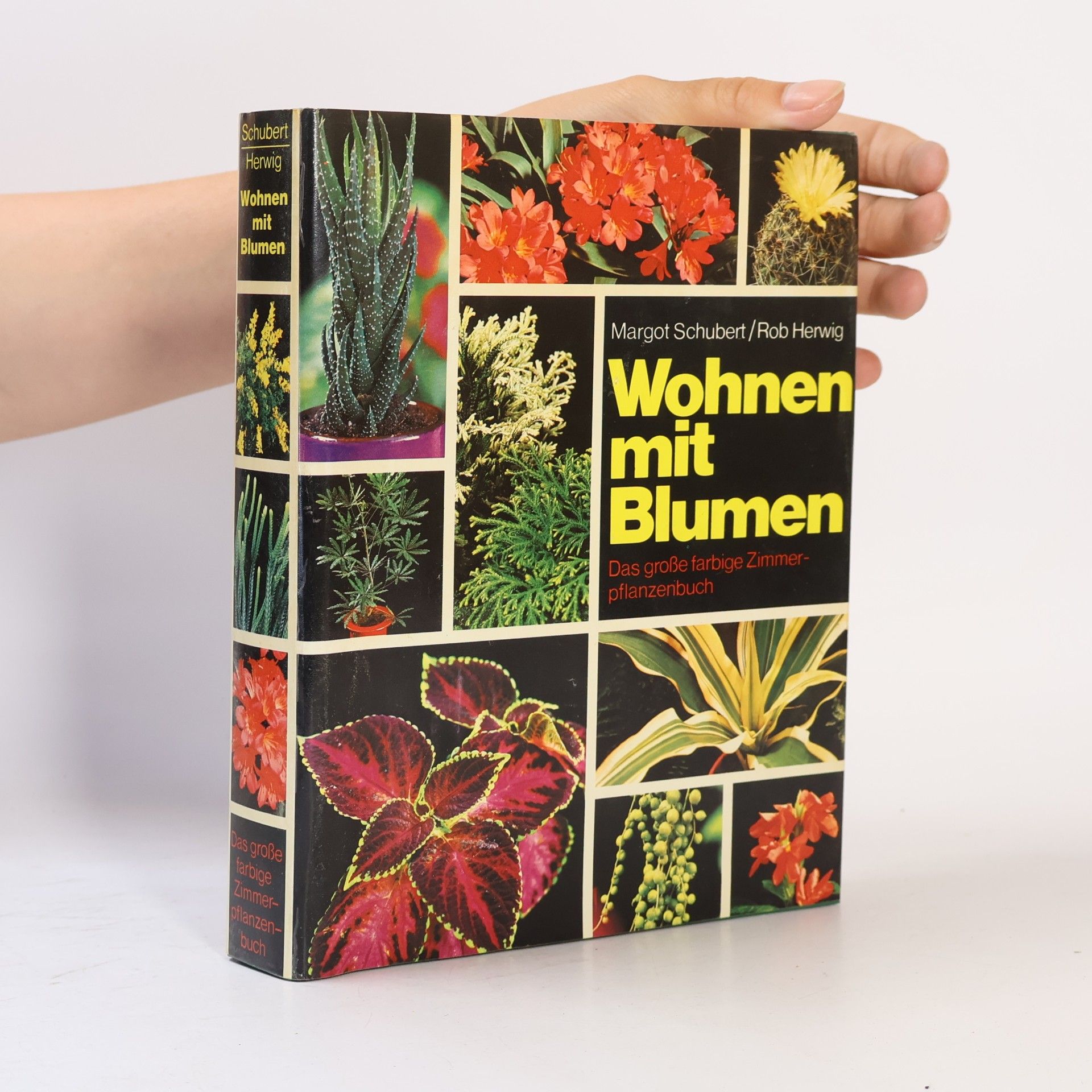 Margot Schubert Wohnen mit Blumen