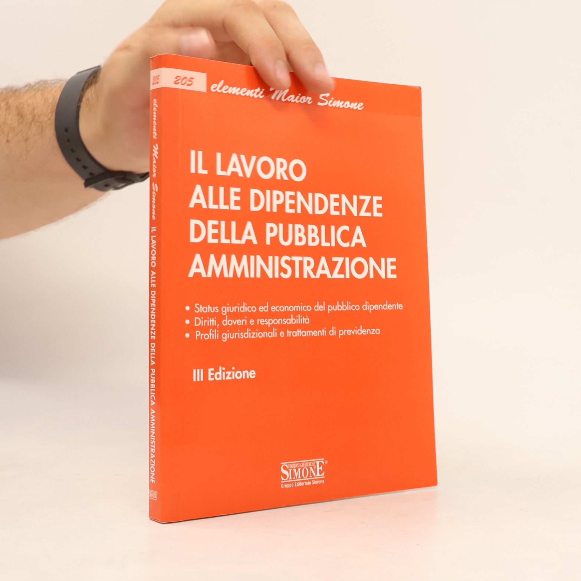 Elementi Maior Simone: Il lavoro alle dipendenze della pubblica amministrazione