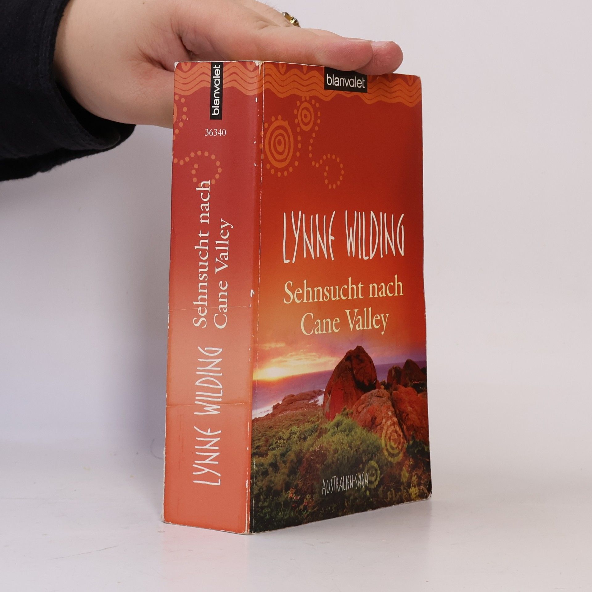 Lynne Wilding Sehnsucht nach Cane Valley