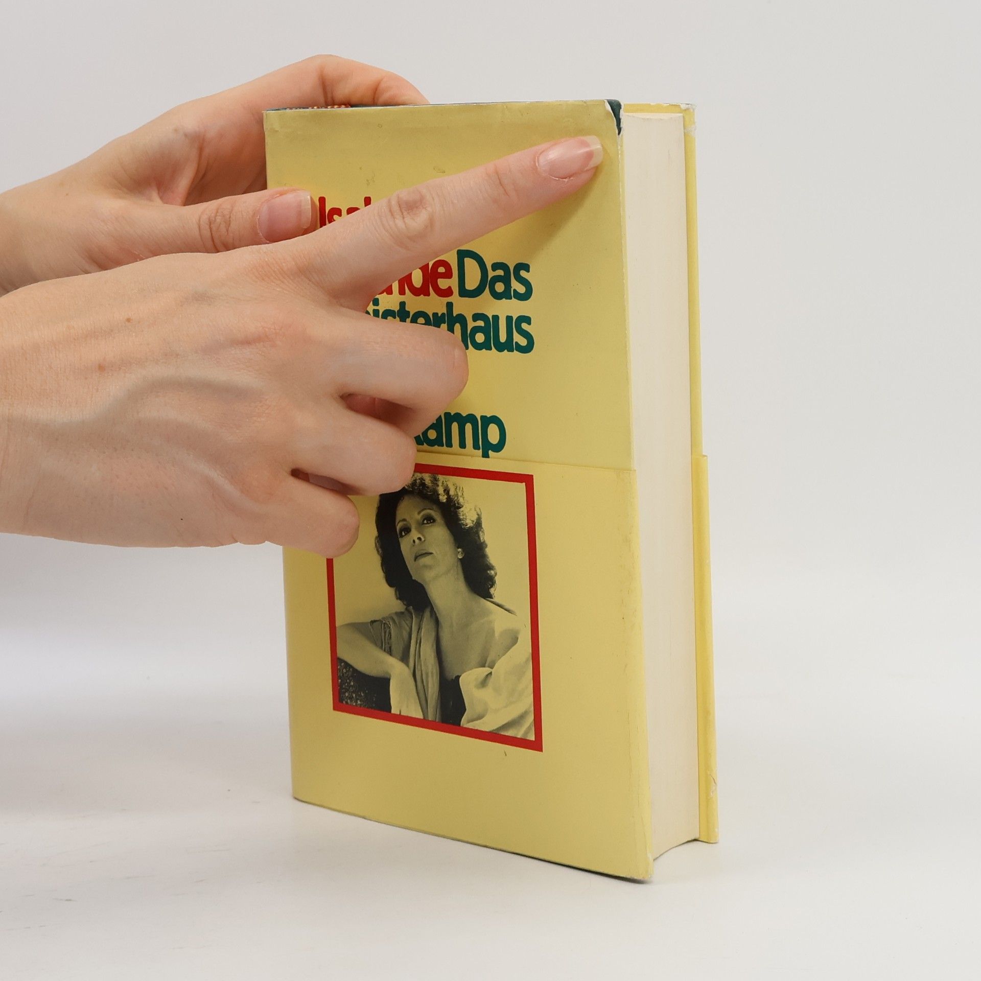 Isabel Allende Das Geisterhaus