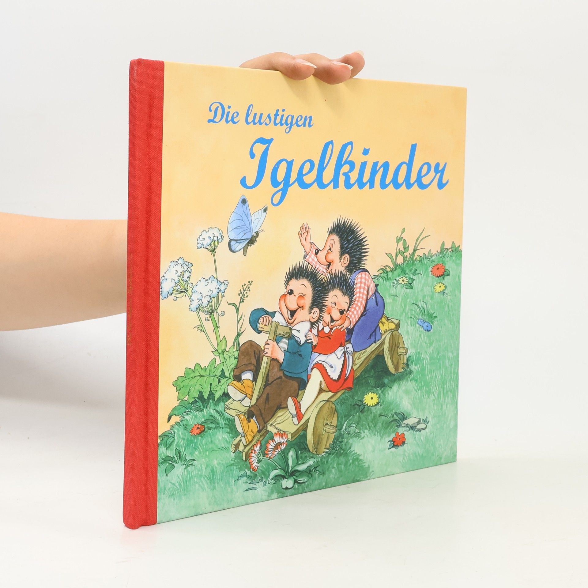 Autorenkollektiv Die lustigen Igelkinder