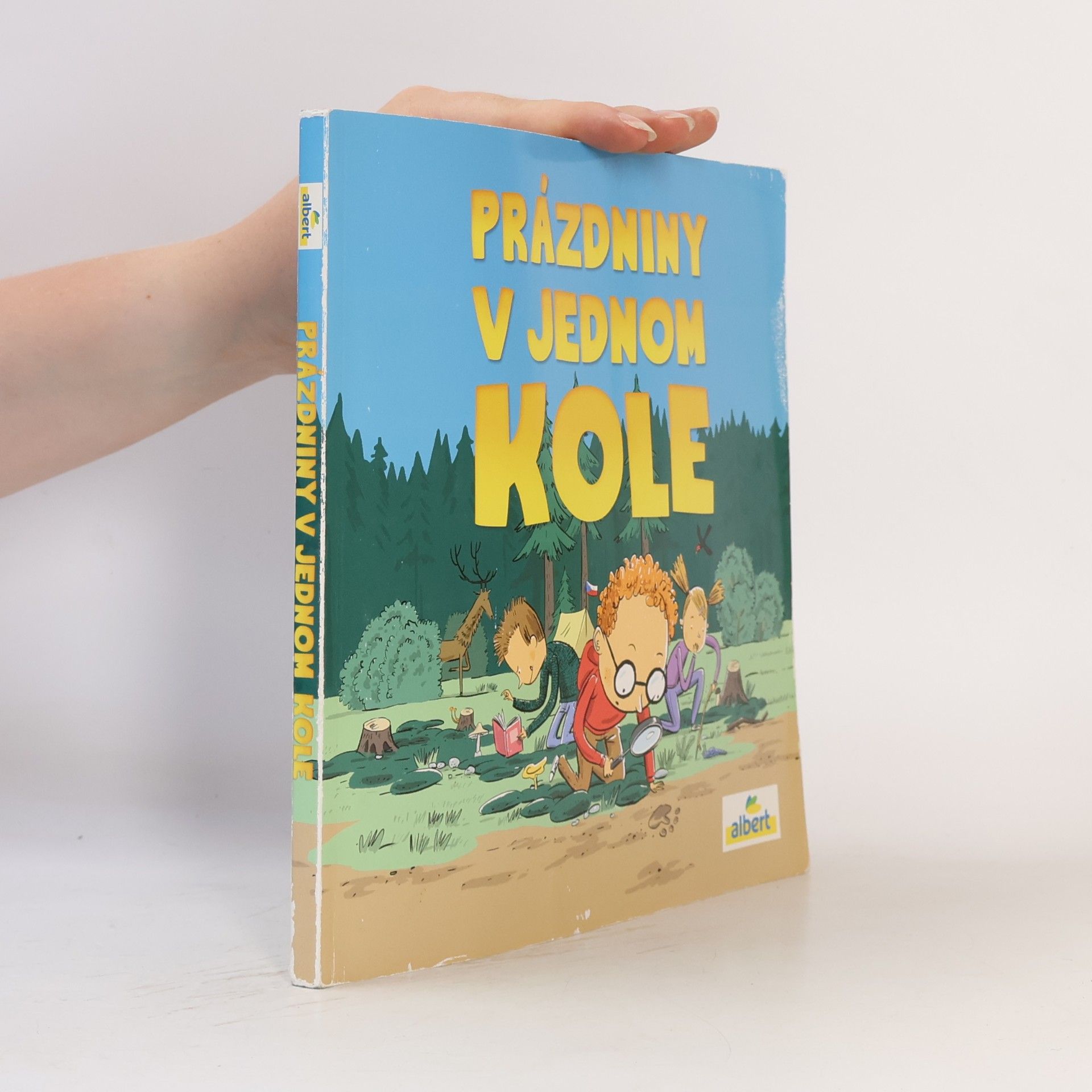 Autorenkollektiv Prázdniny v jednom kole