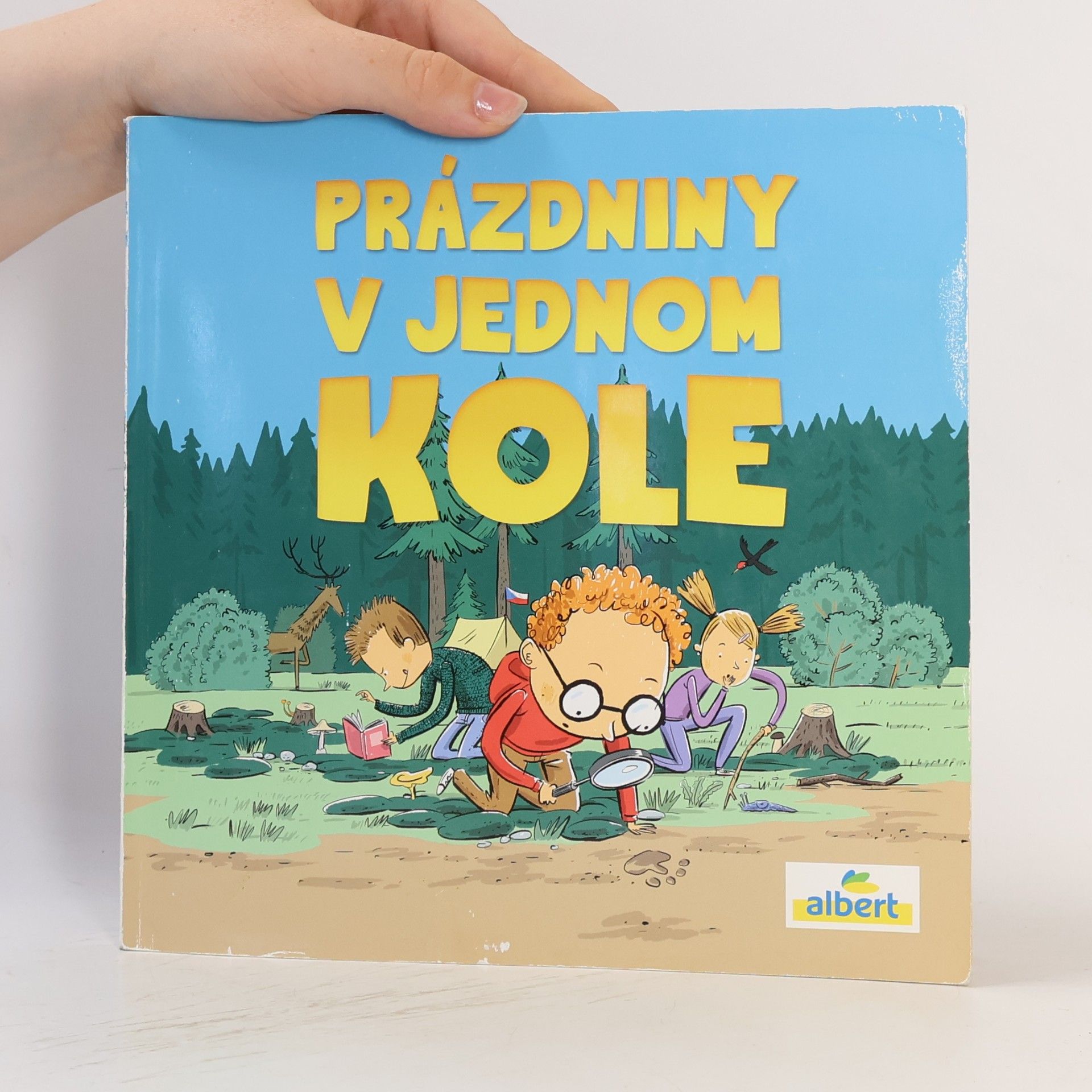 Autorenkollektiv Prázdniny v jednom kole