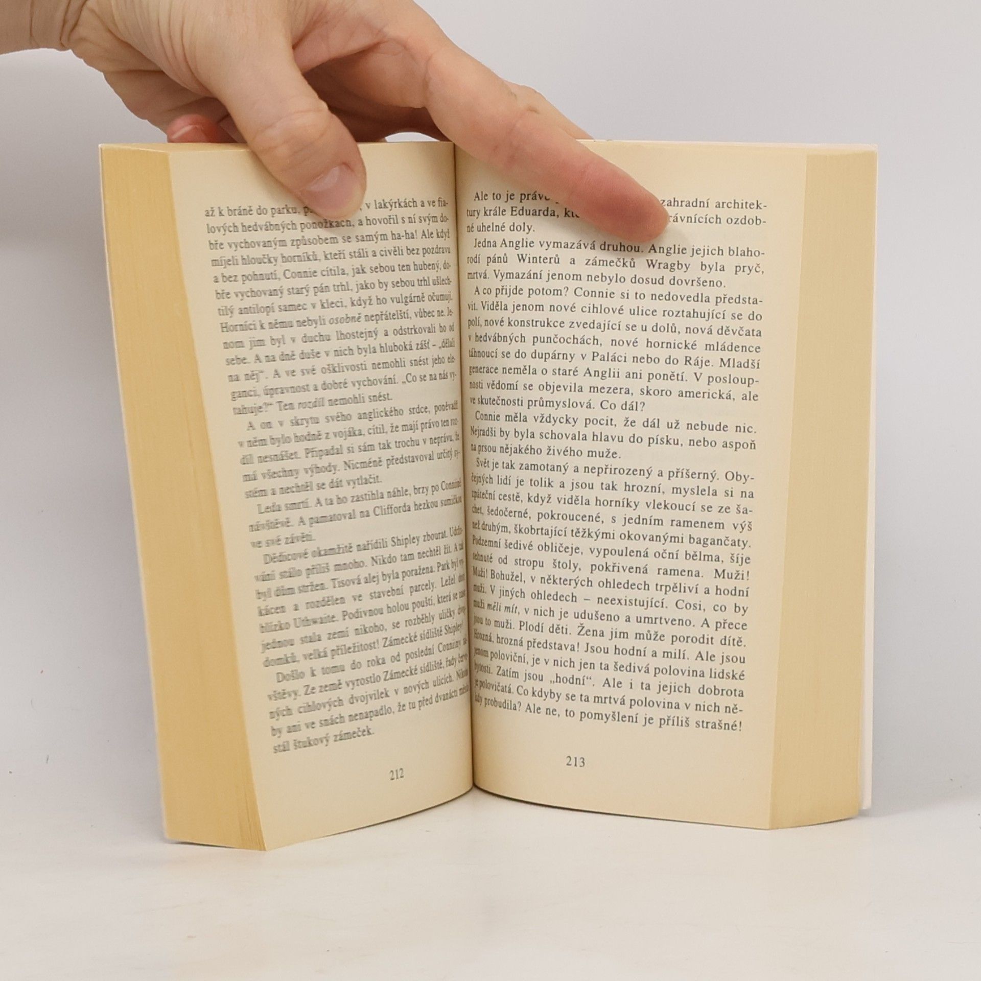 David Herbert Lawrence Milenec lady Chatterleyové