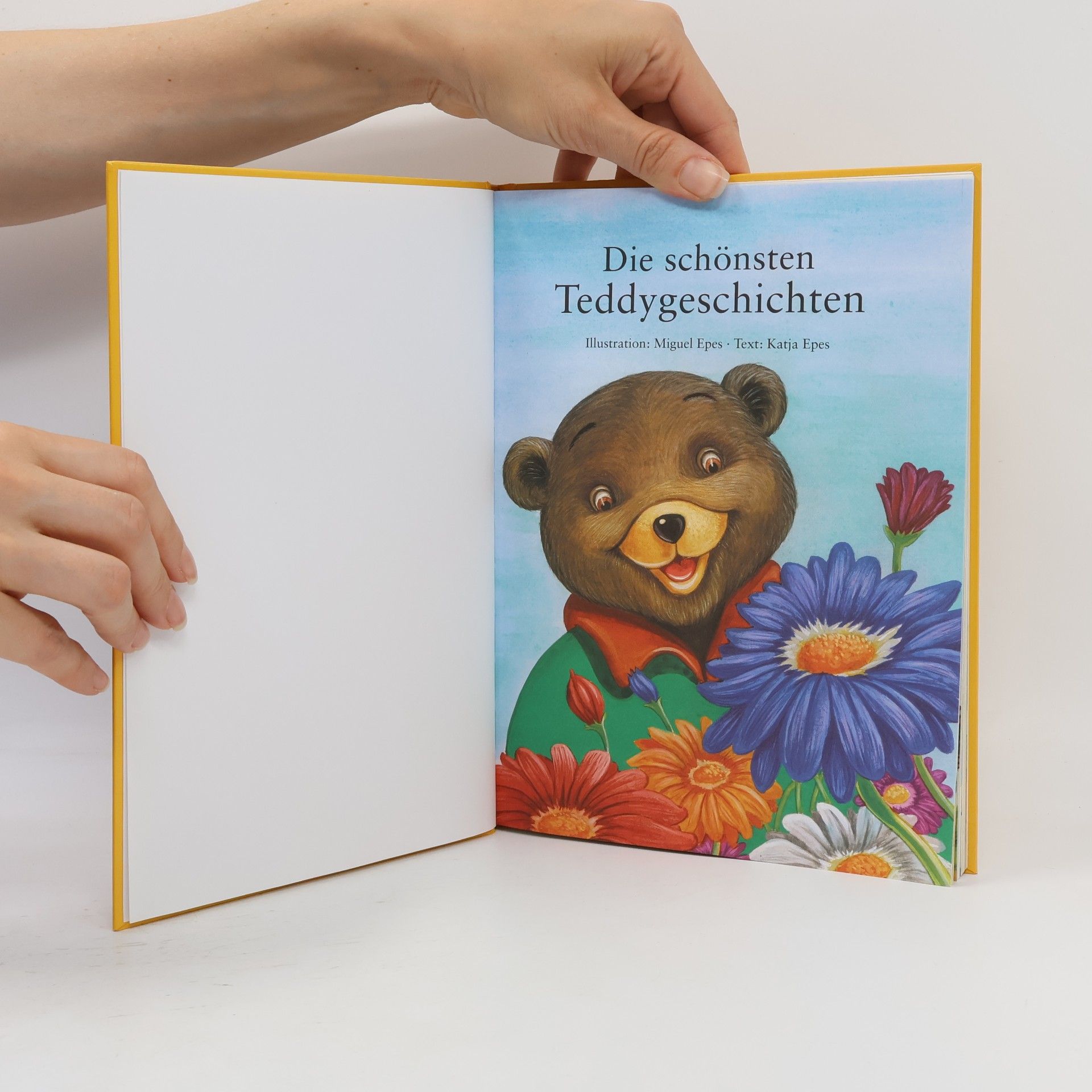 Katja Epes Die schönsten Teddygeschichten