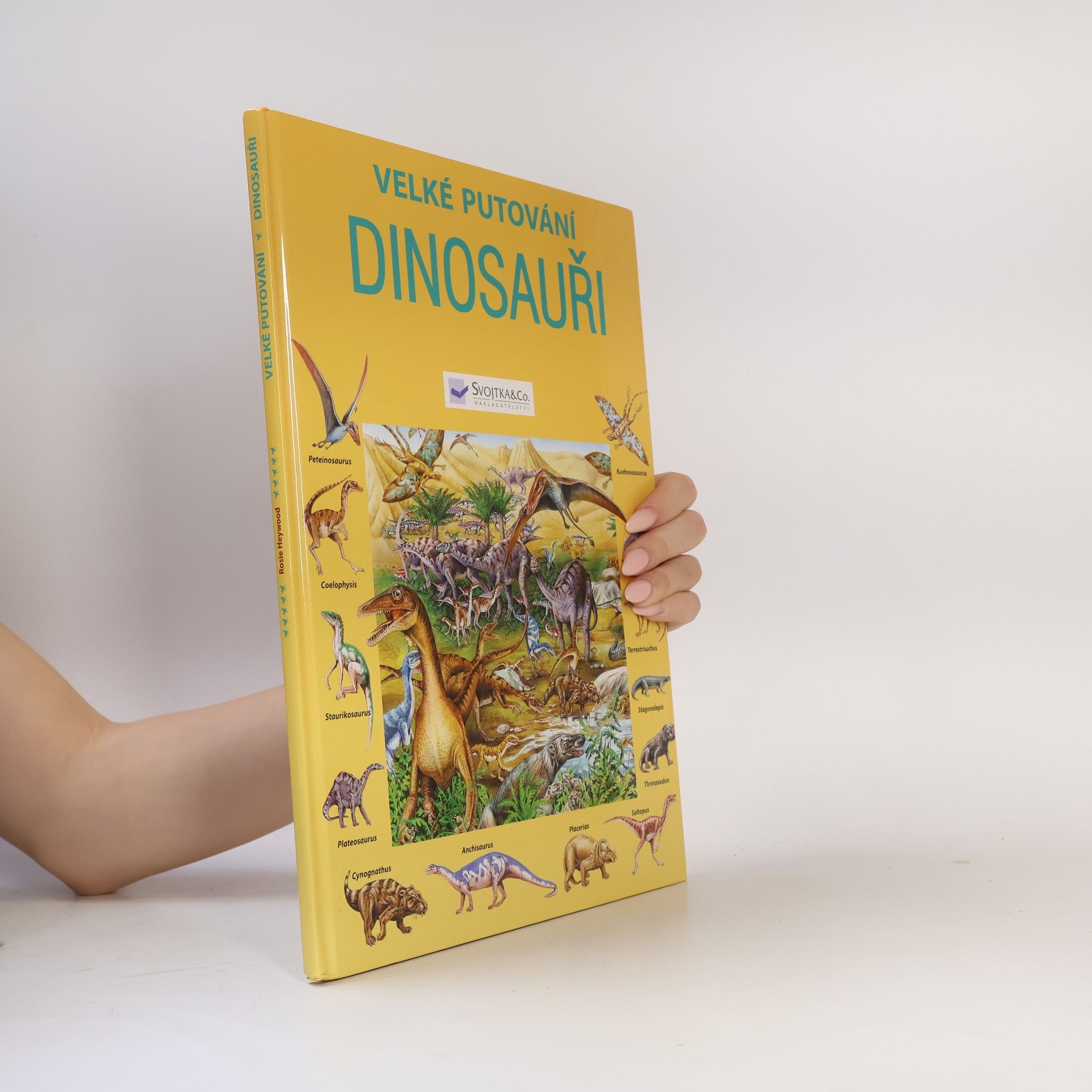 Autorenkollektiv Velké putování za dinosaury