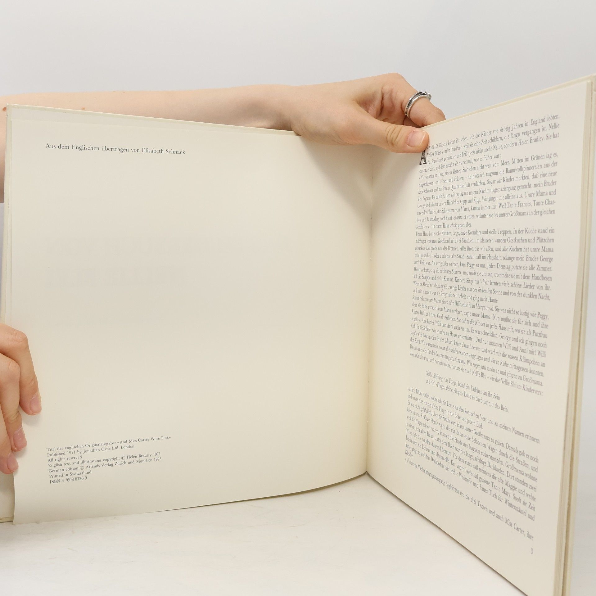 Helen Bradley Das Bilderbuch von Nellie Blei