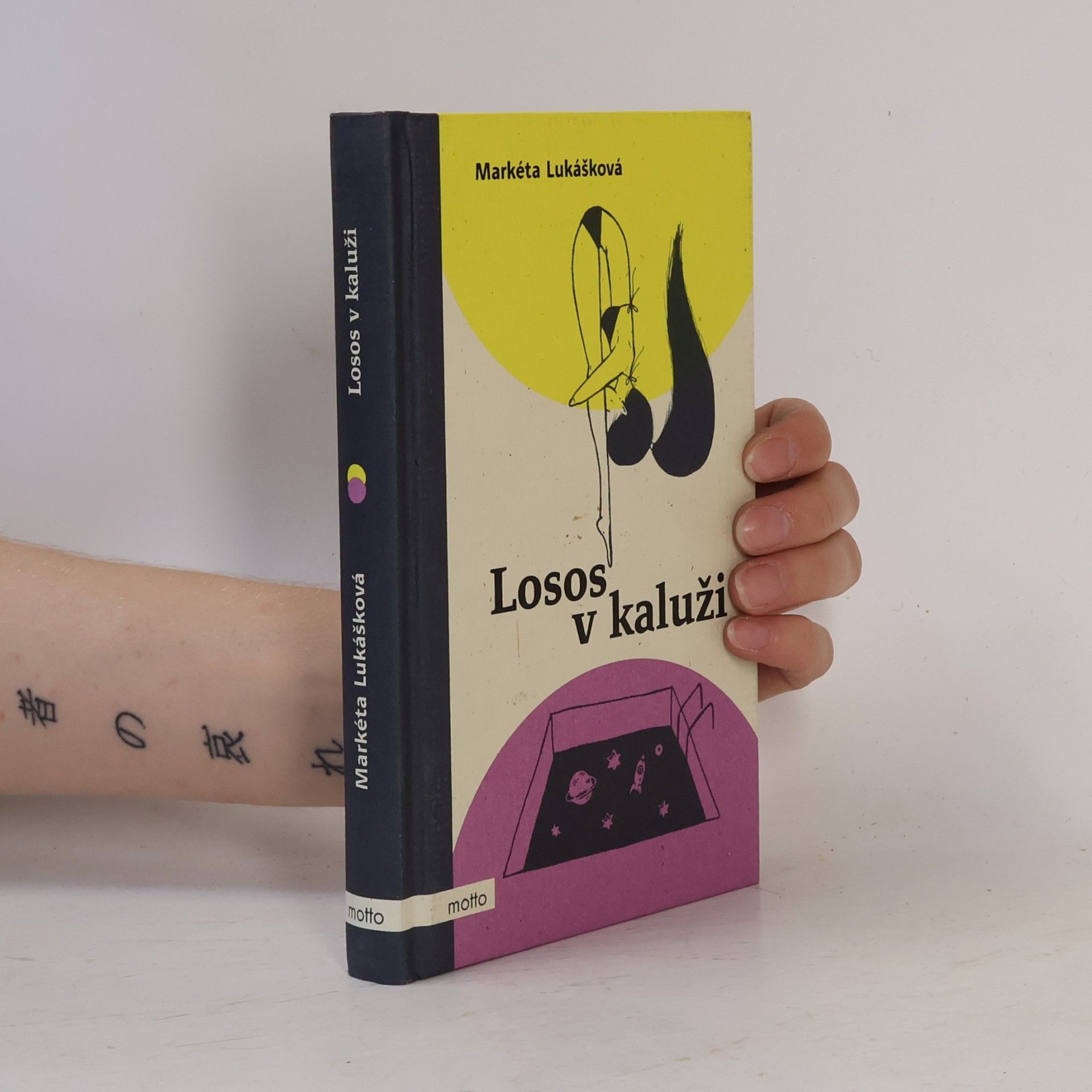 Markéta Lukášková Losos v kaluži
