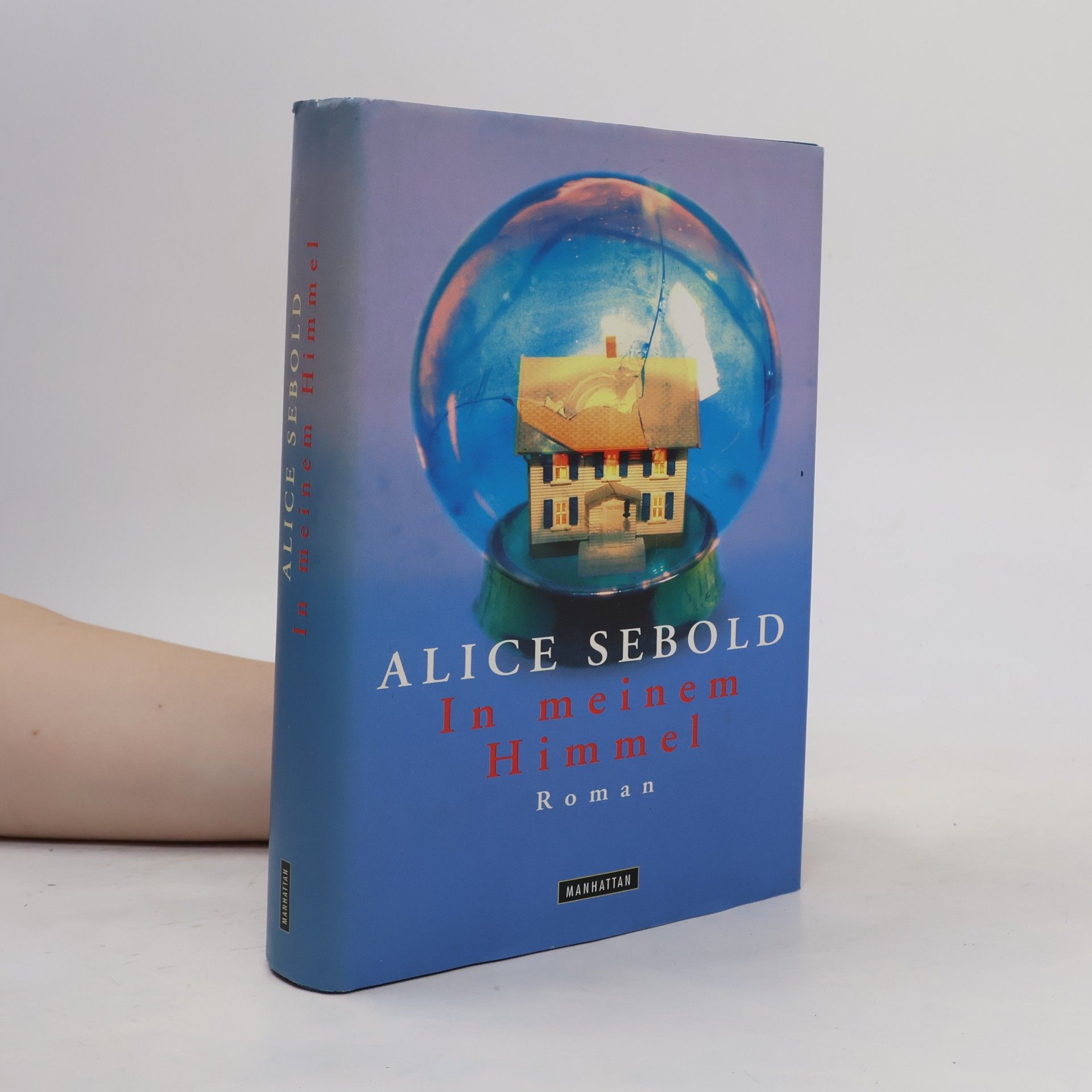 Alice Sebold In meinem Himmel