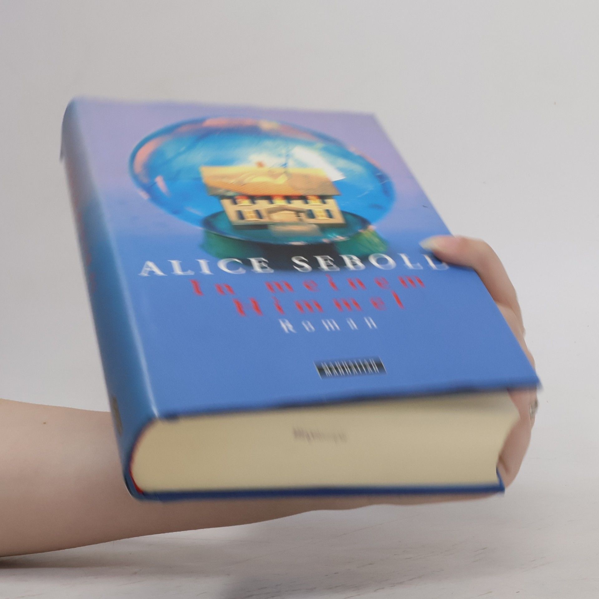 Alice Sebold In meinem Himmel