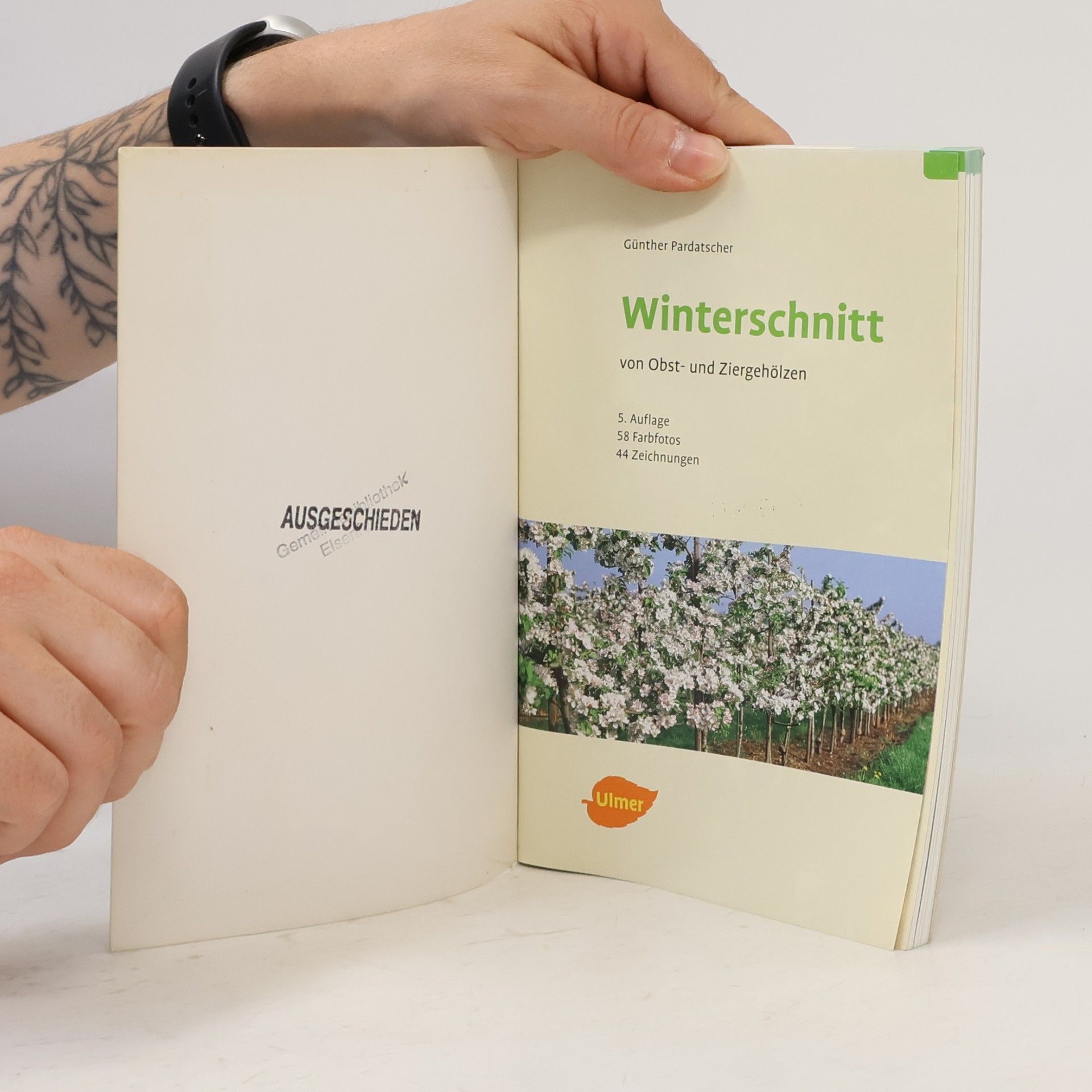 Dr. Günter Pardatscher Winterschnitt von Obst- und Ziergehölzen