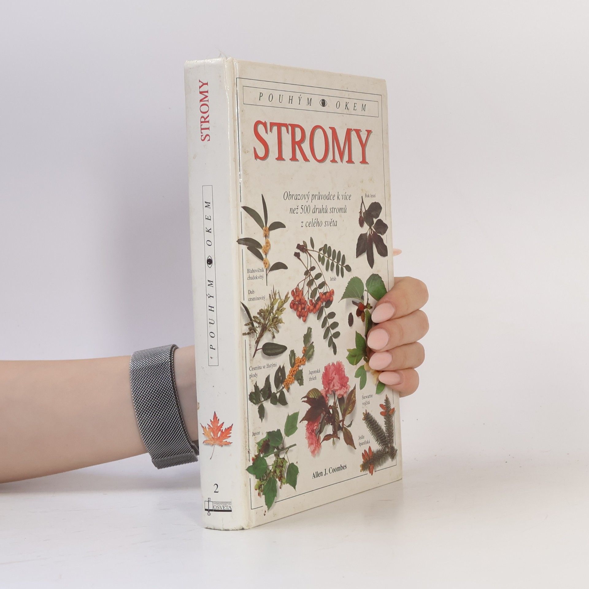 Allen J. Coombes Stromy