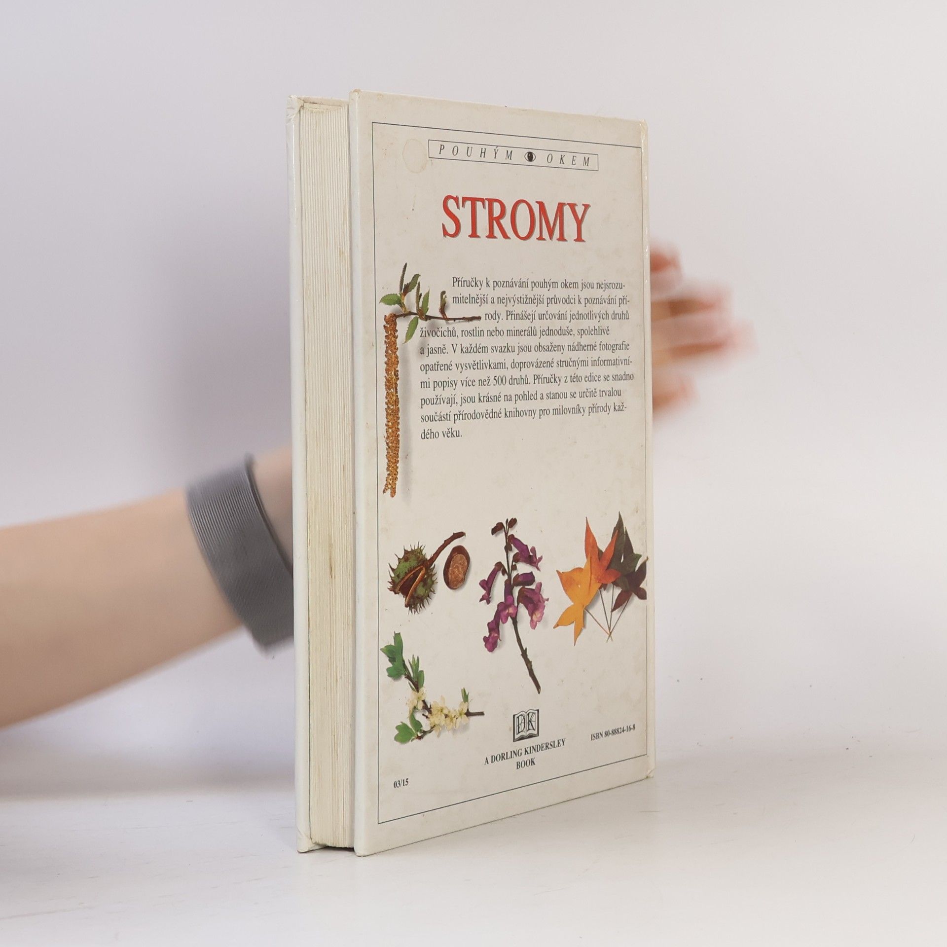 Allen J. Coombes Stromy
